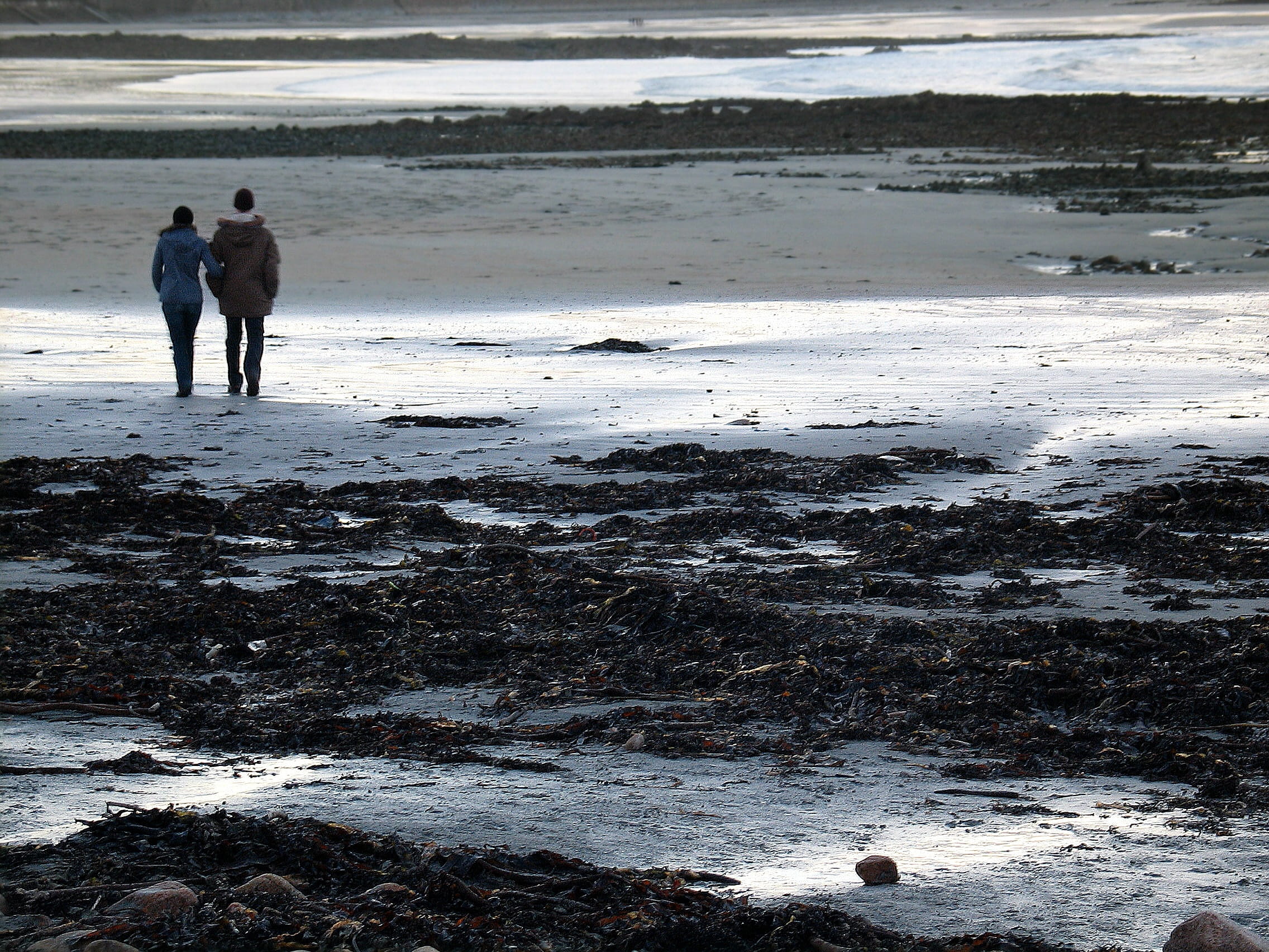 Winter, day, sand, people, Beach, couple - relationship, reflection, togetherness, Walk, lifestyles, Guernsey, standing, men, two people, Couple, leisure activity, HD Wallpaper