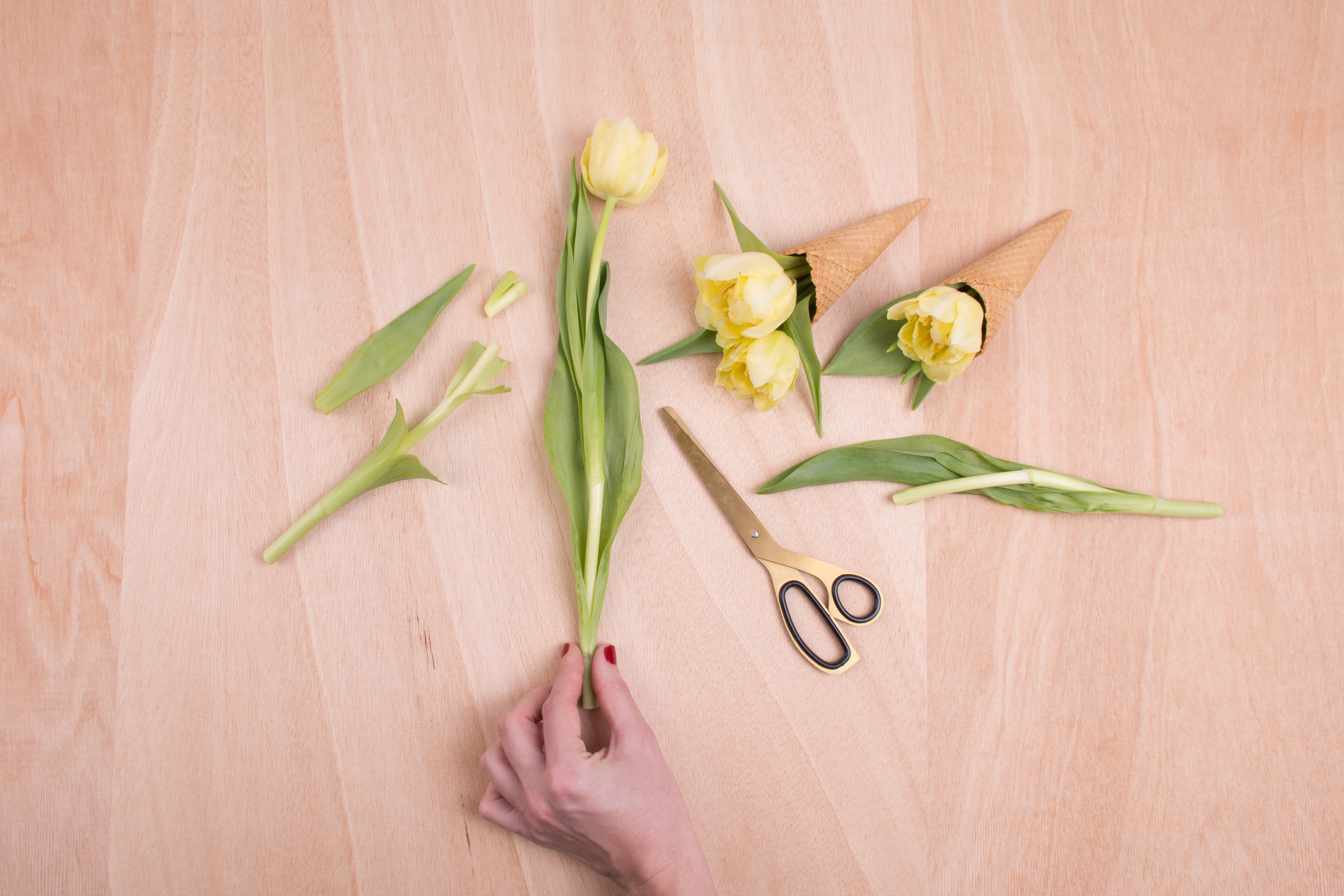 brown, food and drink, table, flower arrangement, hand, flower, healthy lifestyle, flatlay, scissors, holding, 5K, surface, indoors, directly above, freshness, HD Wallpaper
