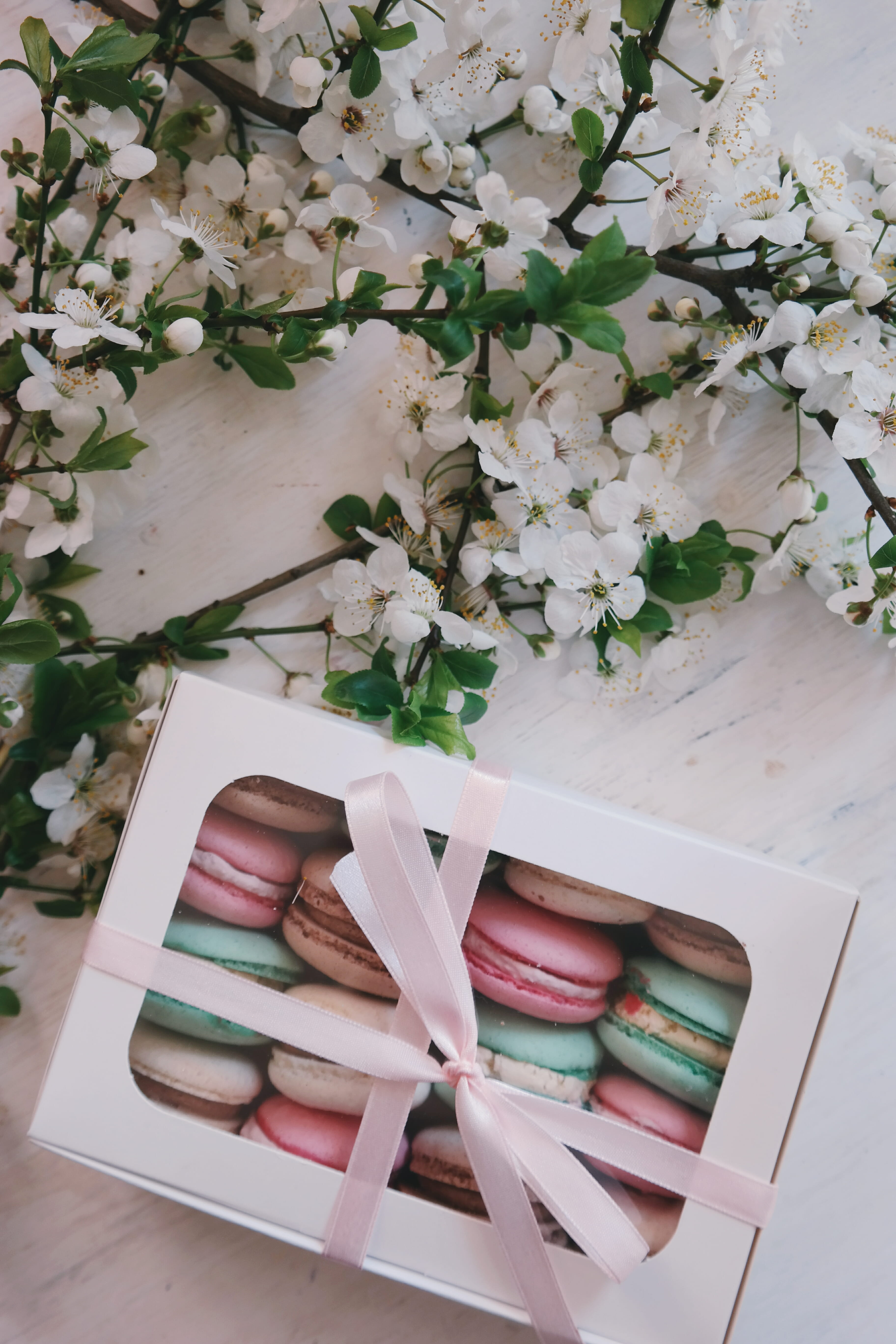 french, white, beauty in nature, white table, freshness, dessert, indoors, table, spring, still life, flatlay, flowering plant, no people, close-up, pink color, Phone HD Wallpaper