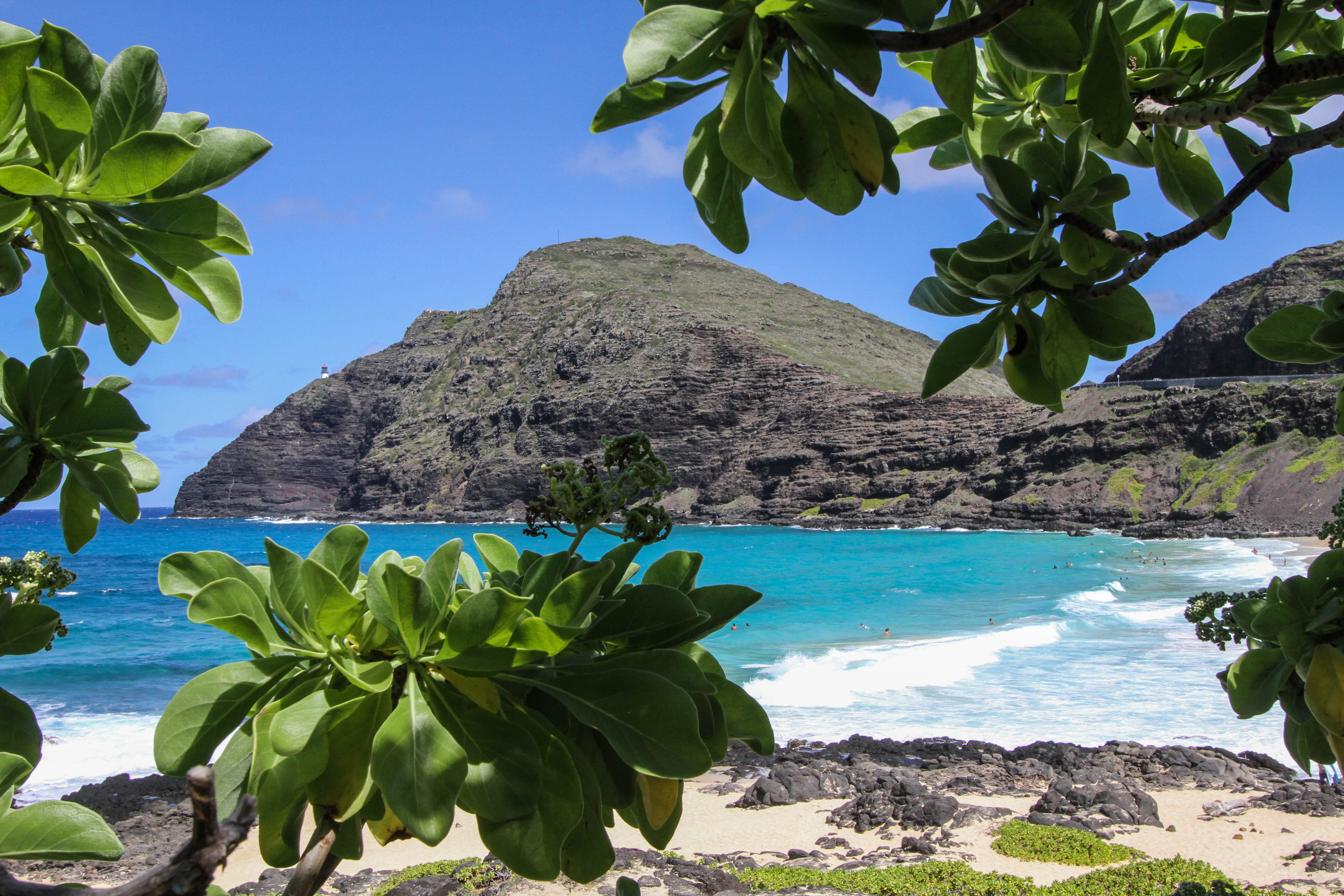 beachscape, scenics - nature, plant, day, cliff, nature, ocean view, mountain, isolated, leafe, leaf, oahu, mountains, outdoors, plant part, non-urban scene, HD Wallpaper