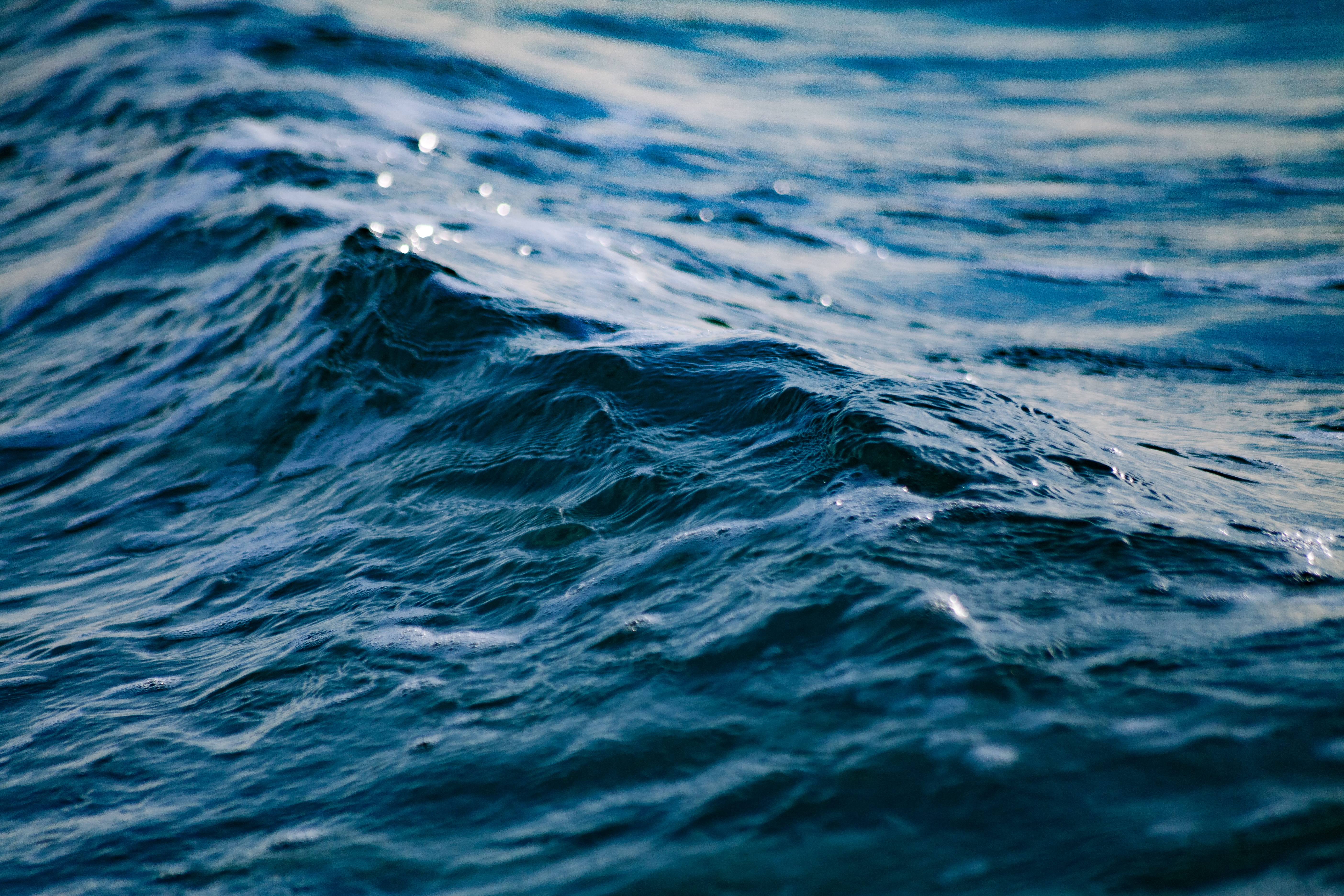 shape, swimming, mammal, waterfront, nature, body, underwater, water, ocean, wafe, sea, marine, mood, backgrounds, blue, 5K, no people, rippled, day, wet, HD Wallpaper