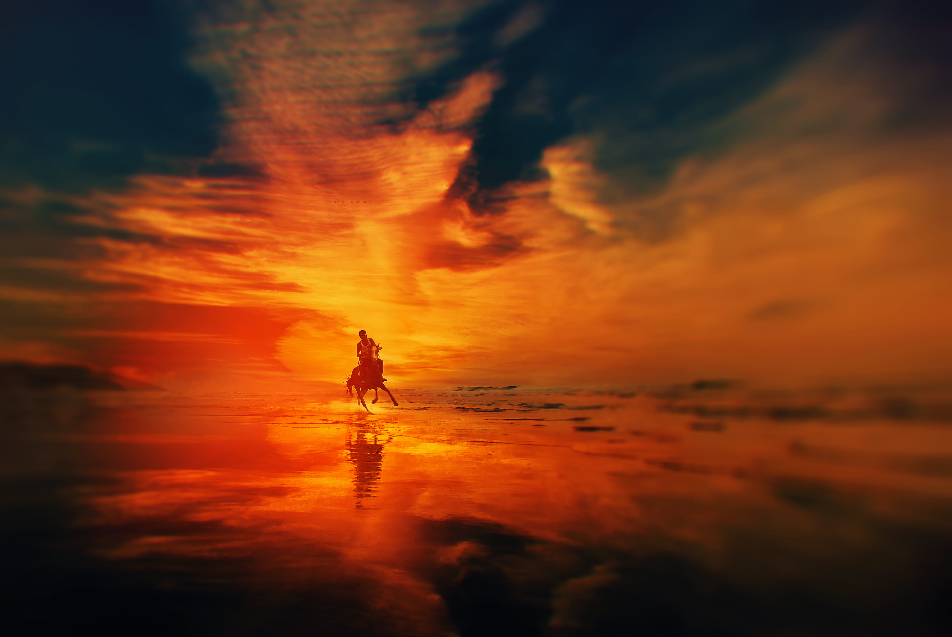 color, silhouette, walking, horse, real people, riding, orange, nature, beach, yellow, lifestyles, adult, scenics - nature, wafe, 4K, beauty in nature, HD Wallpaper