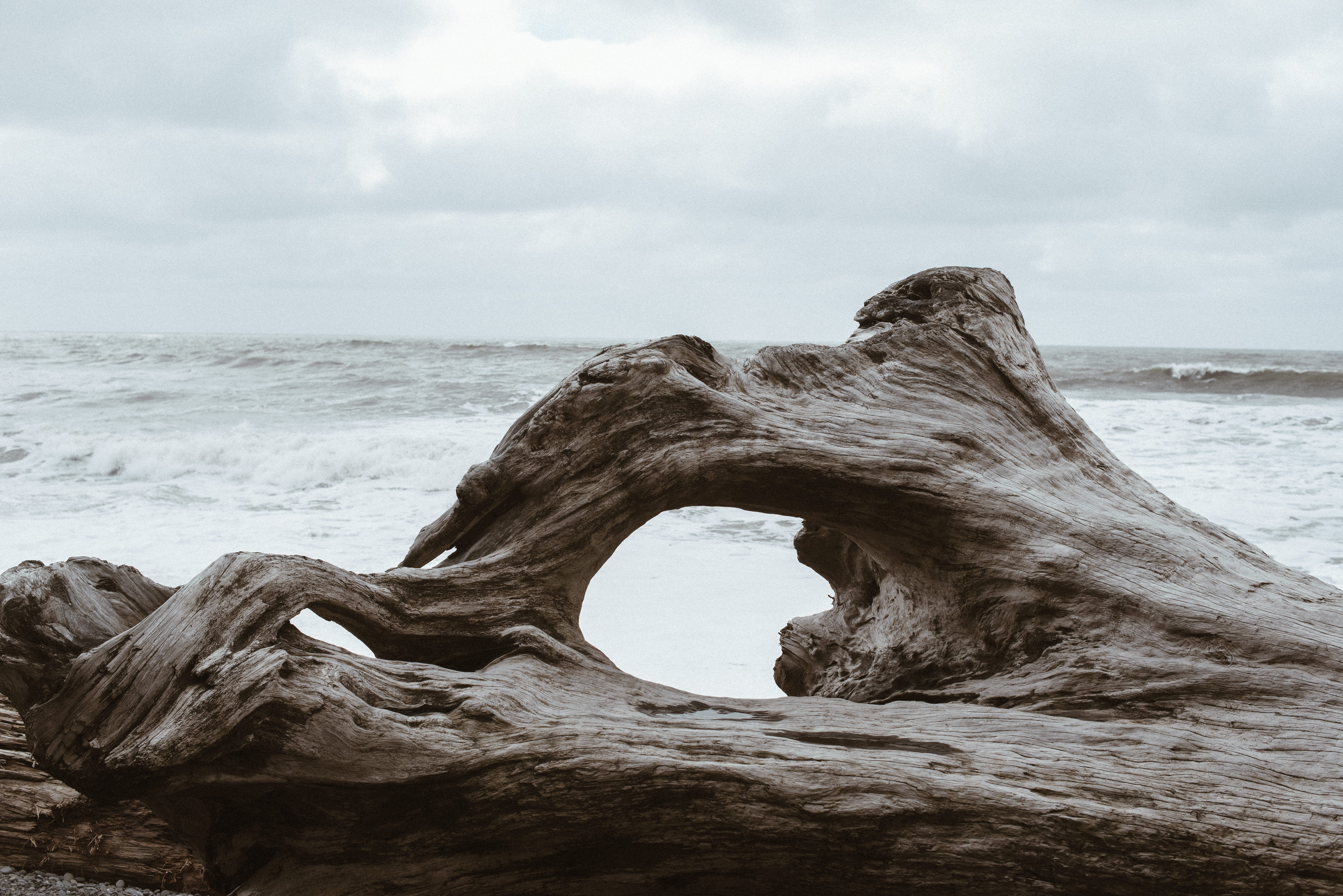 tree, rock, outdoors, horizon over water, solid, tranquility, ocean, wave, coastline, natural arch, beach, daytime, land, wood, rock - Object, nature, horizon, HD Wallpaper