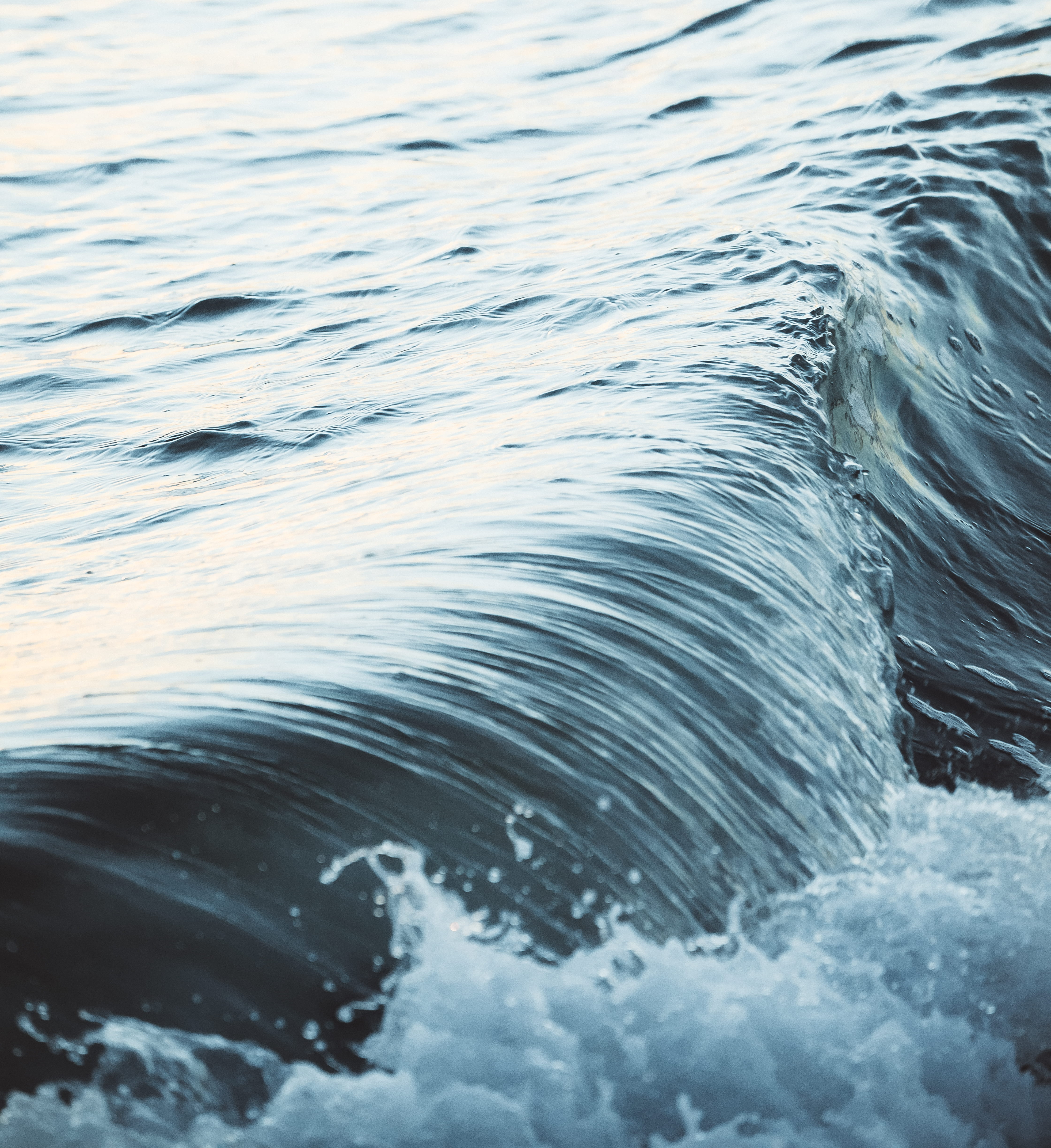 one animal, untitled, no people, splashing, close-up, swimming, purity, marine, waves, beauty in nature, water, day, nature, waterfront, rippled, motion, Phone HD Wallpaper
