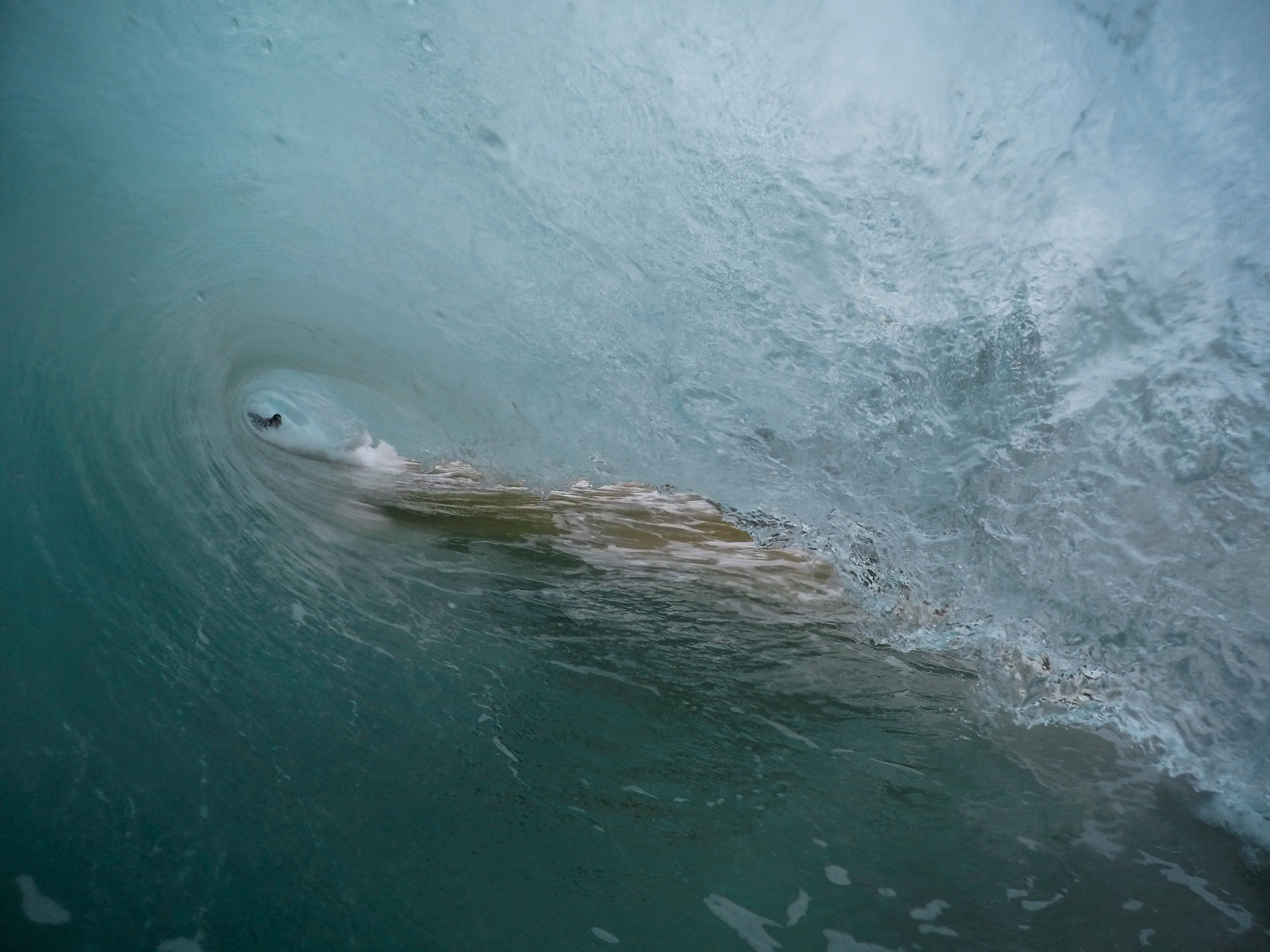 hawaii, big, underwater, waves, sea, coast, blue, body board, water, one animal, shorebreak, marine, barrel, mammal, photo, land, swimming, nature, united states, HD Wallpaper