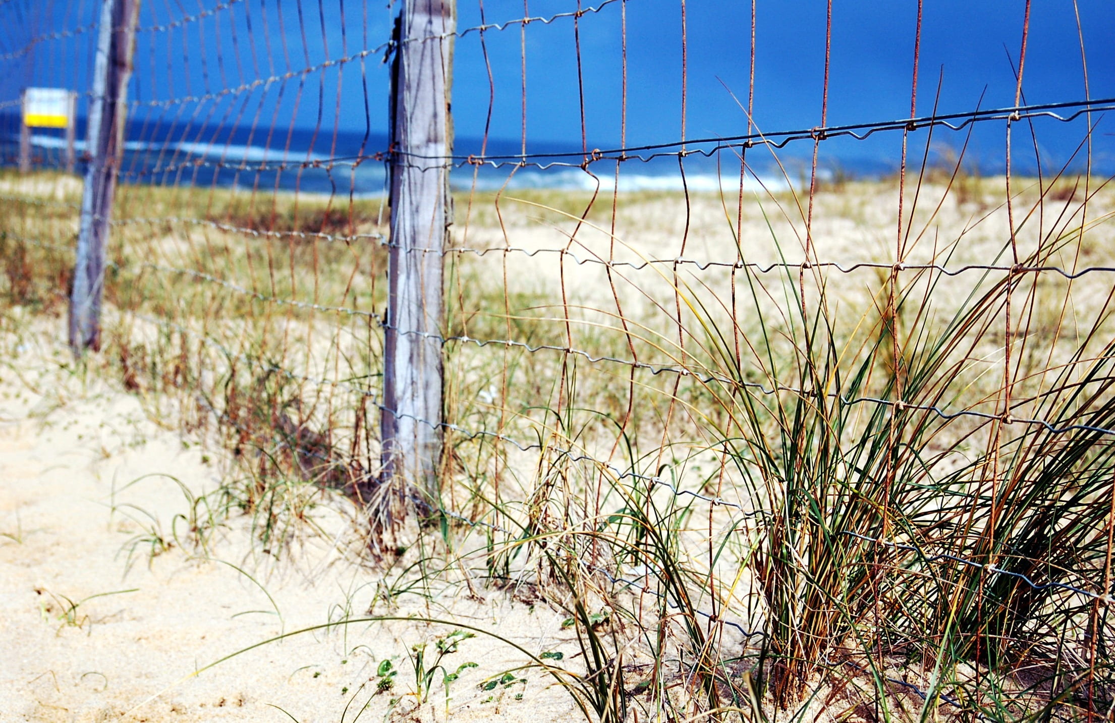 boundary, sand, safety, nature, france, field, dunes, grass, no people, tranquility, sky, security, focus on foreground, ocean, sand dune, sea, 1080P, HD Wallpaper
