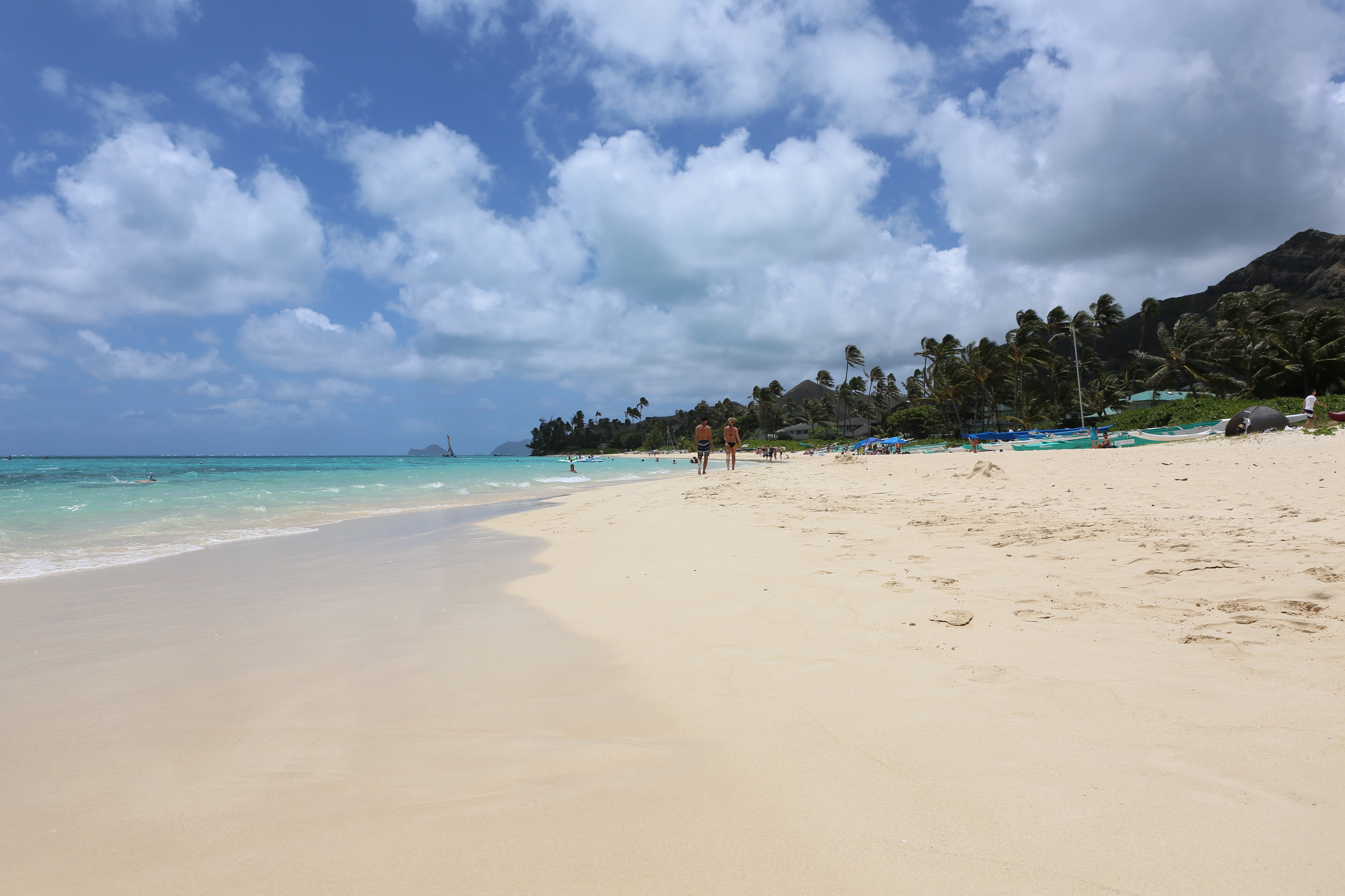trees, sea, water, tree, united states, horizon over water, cloud - sky, beaches, non-urban scene, beach, kailua, land, incidental people, horizon, 5K, HD Wallpaper