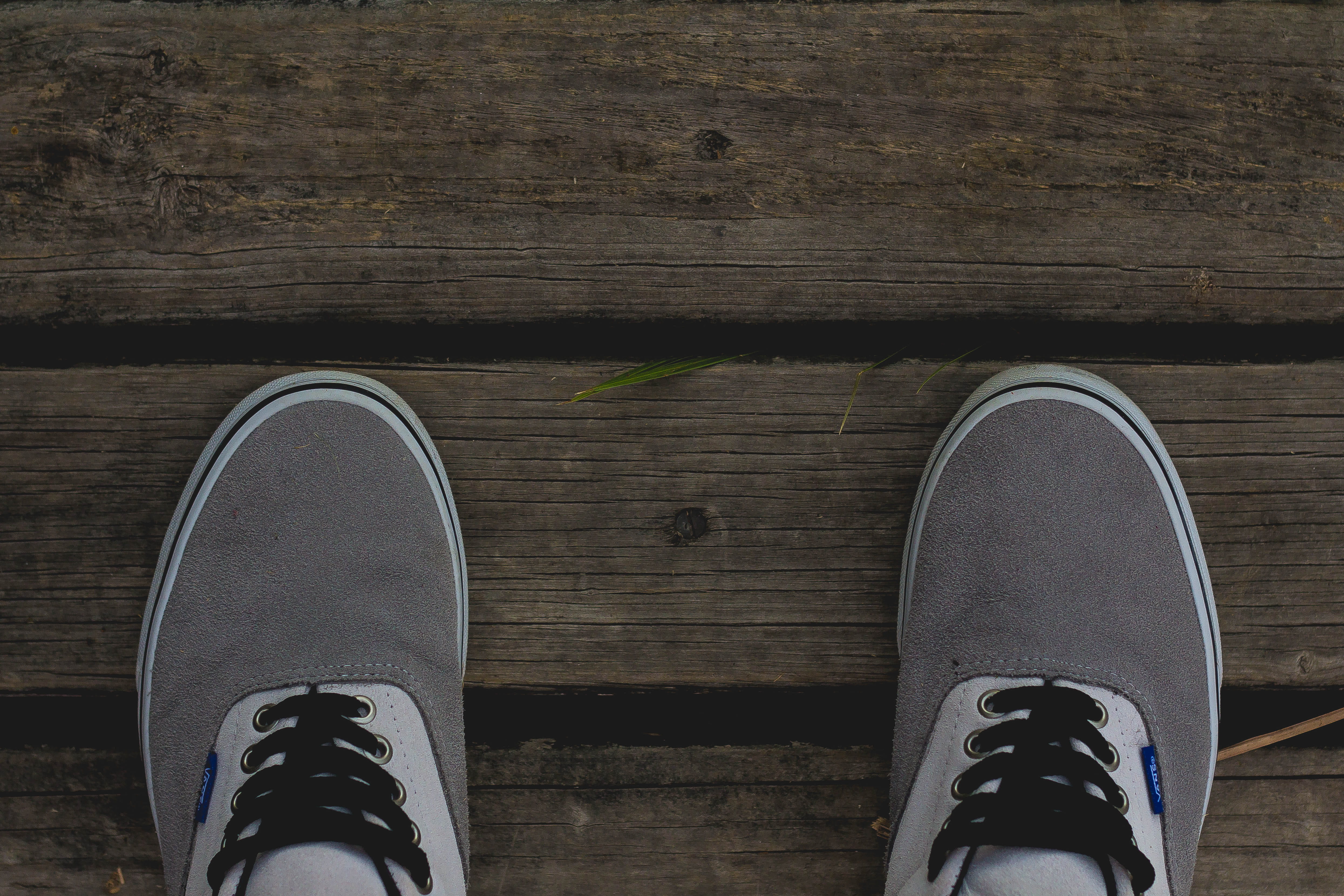 low section, human foot, wood, green, indoors, unrecognizable person, leaf, high angle view, body part, vaction, wood - material, directly above, men, jeans, HD Wallpaper