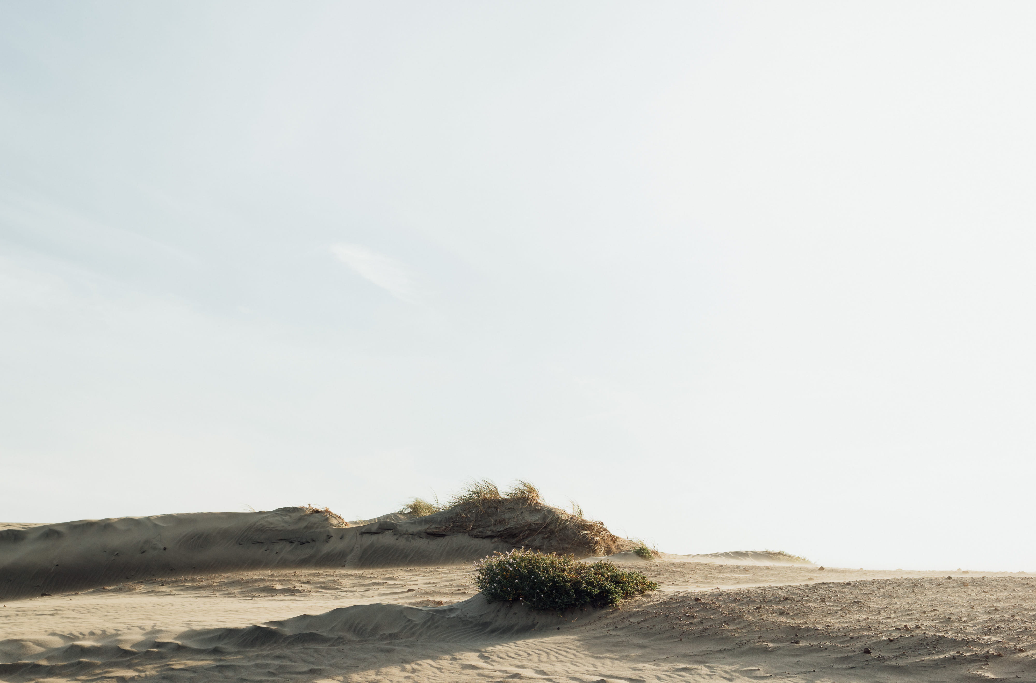 semi-arid, day, copy space, 4K, white, scenics - nature, land, beauty in nature, plant, view, climate, sea, scrubgrass, outdoors, desert, nature, wind, HD Wallpaper