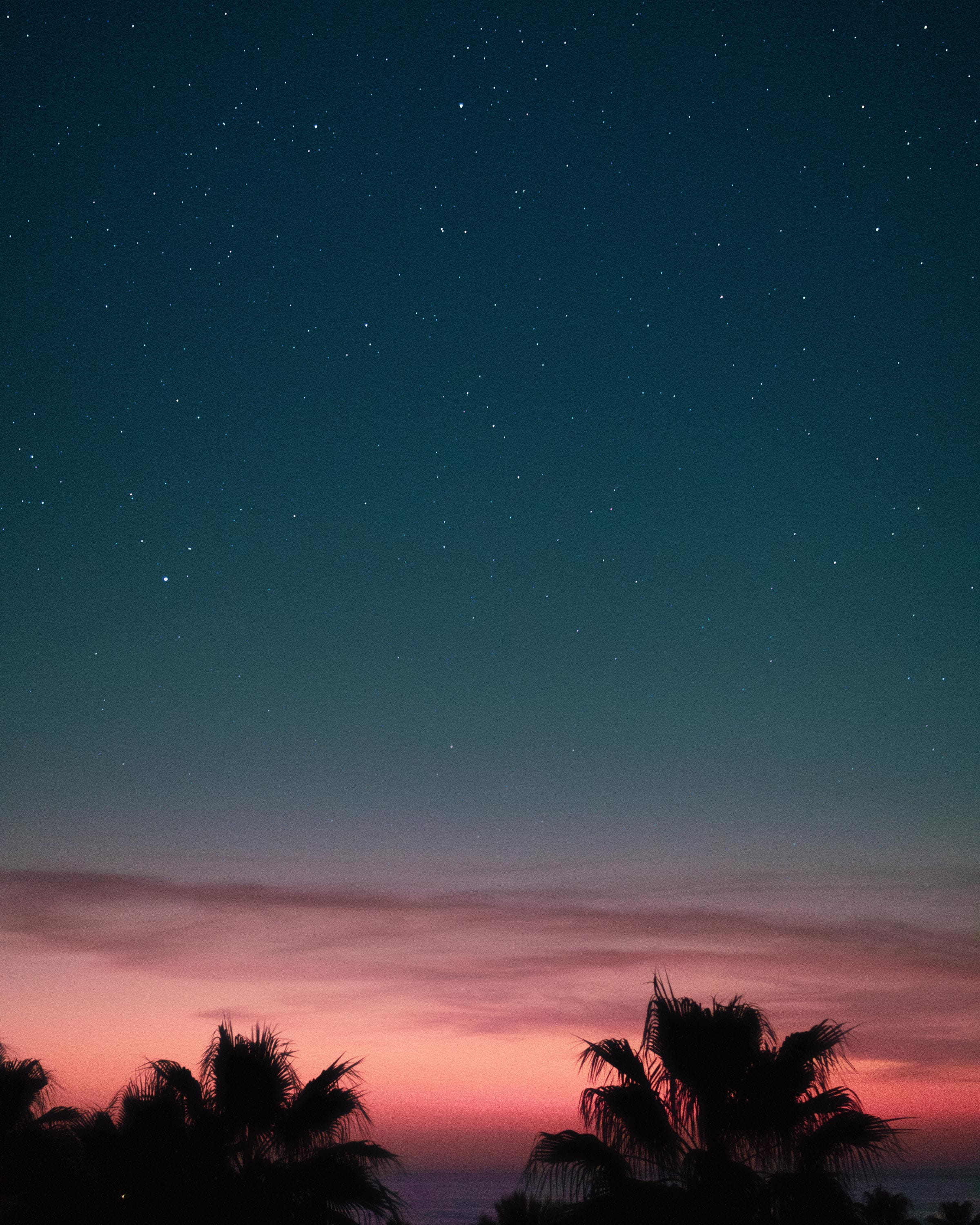 landscape, red, beauty In Nature, trees, universe, nebula, sea, body, painting, space, night, science, glowing, outdoors, galaxy, planet - Space, star - Space, Phone HD Wallpaper