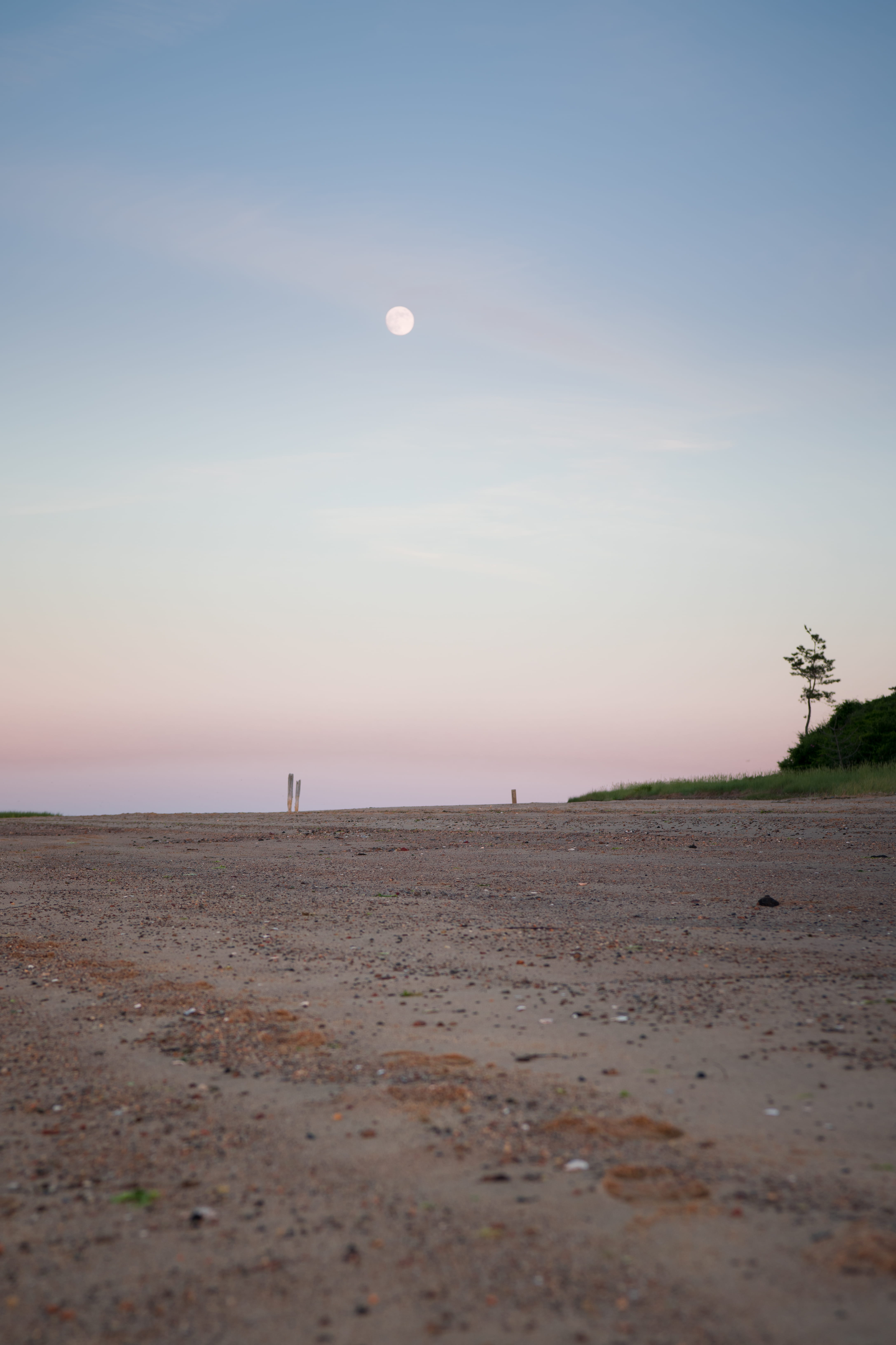 sea, idyllic, lands, nature, moon, clear sky, tranquil scene, field, tree, photo, environment, beach, ocean, blue, chatham, water, scenery, dirt, 5K, tranquility, Phone HD Wallpaper