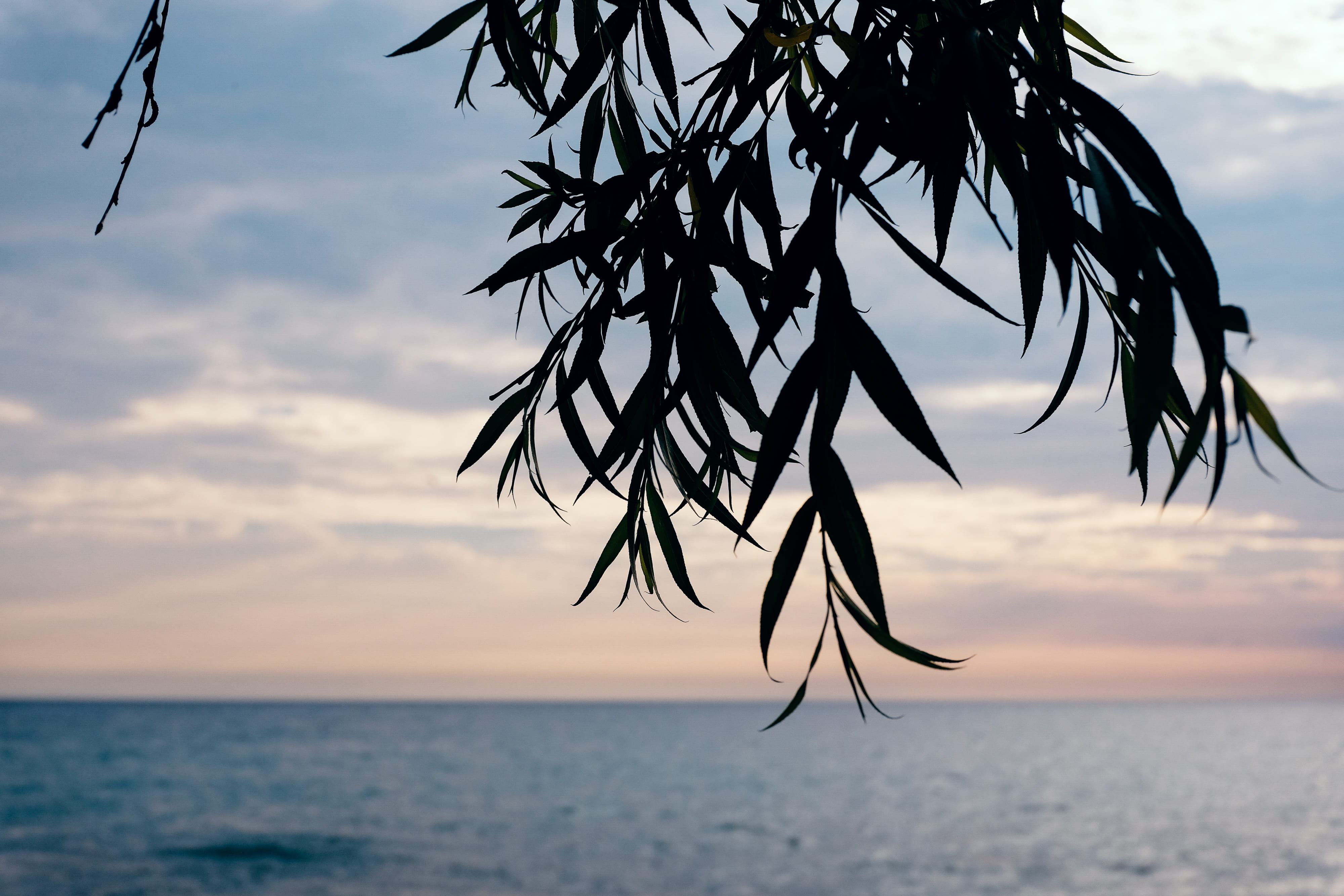 sunset, tranquil scene, outdoors, stone, white, sea, michigan, nature, smooth, coast, leaves, tranquility, water, ripe, waves, rock, horizon over water, HD Wallpaper
