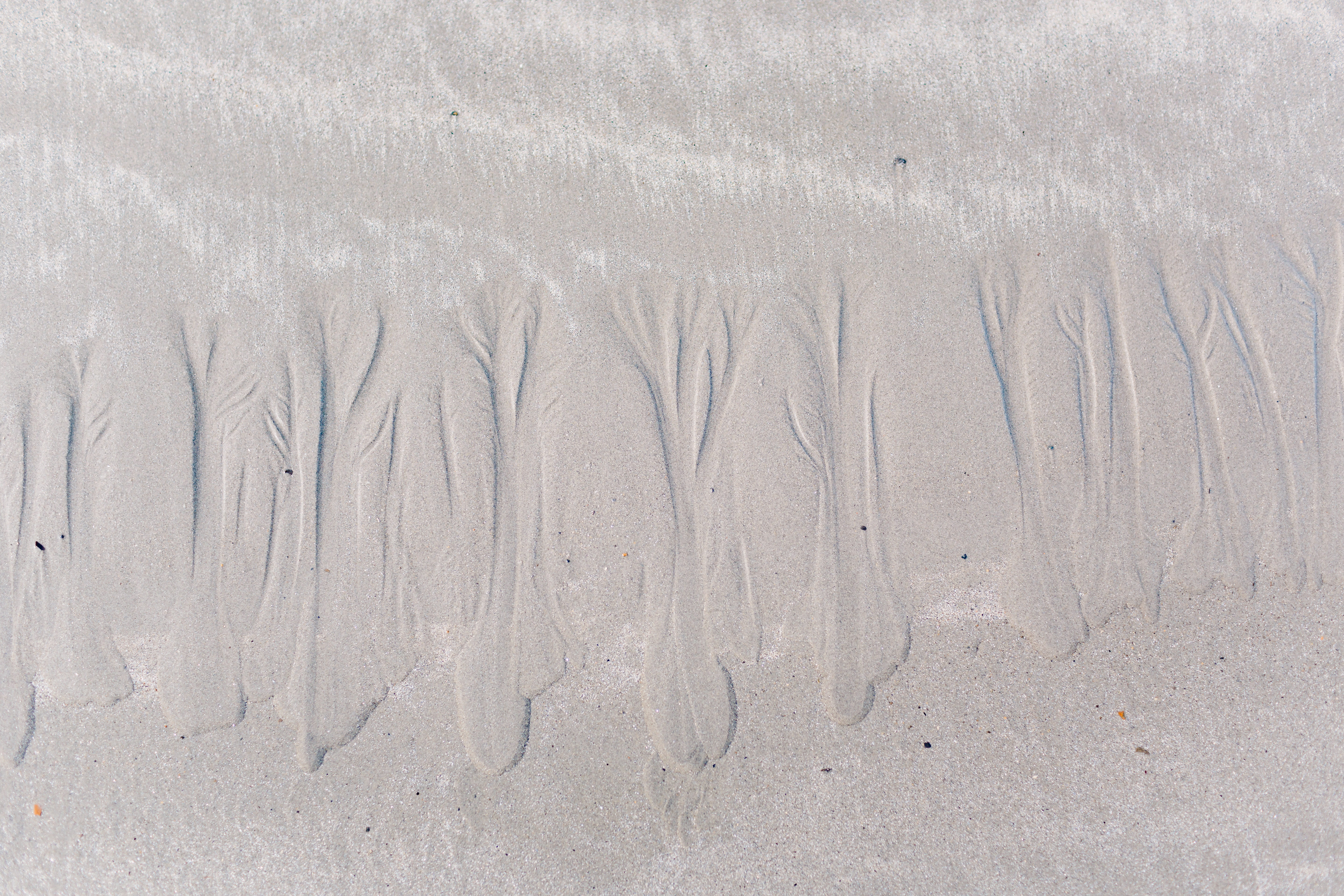 top, seashore, white color, sand, sand tree, day, beauty in nature, minimalistic, 5K, climate, landscape minimal, land, photography, high angle view, view, HD Wallpaper