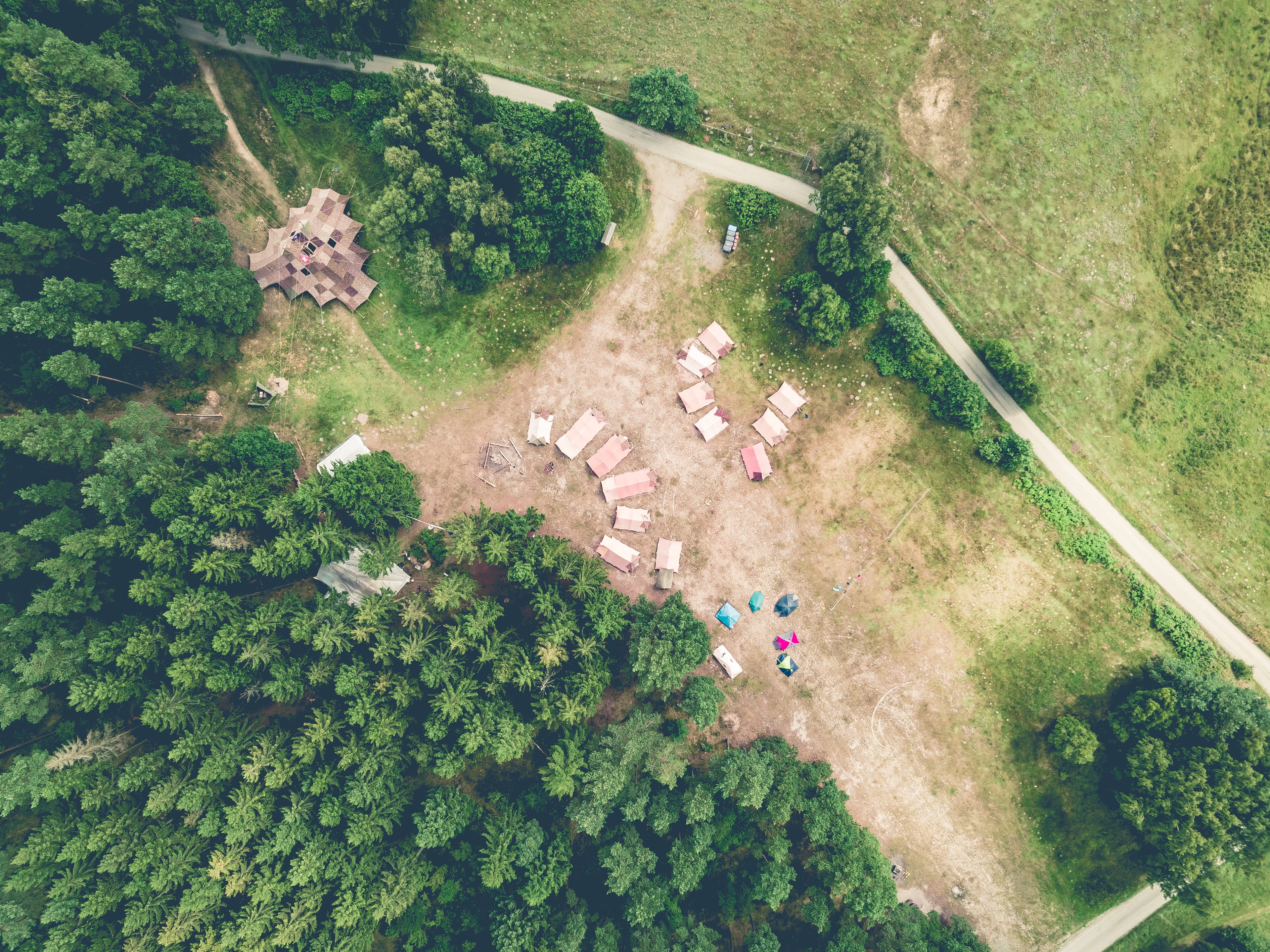 plant, field, built structure, 2K, growth, northern, environment, no people, sweden, trees, drone, green color, travel, relax, day, sjöbo, forest, scenics - nature, HD Wallpaper