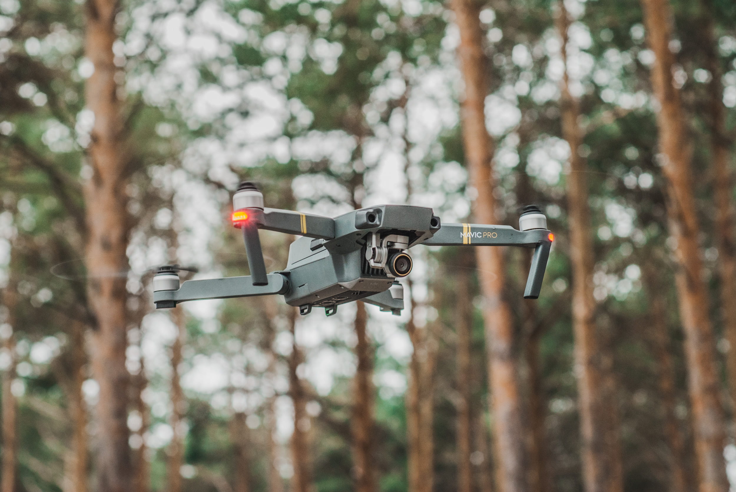 forest, land, gray, outdoors, tree, motion, transportation, flying, tech, focus on foreground, day, pro, plant, security, nature, quadcopter, drone, technology, HD Wallpaper