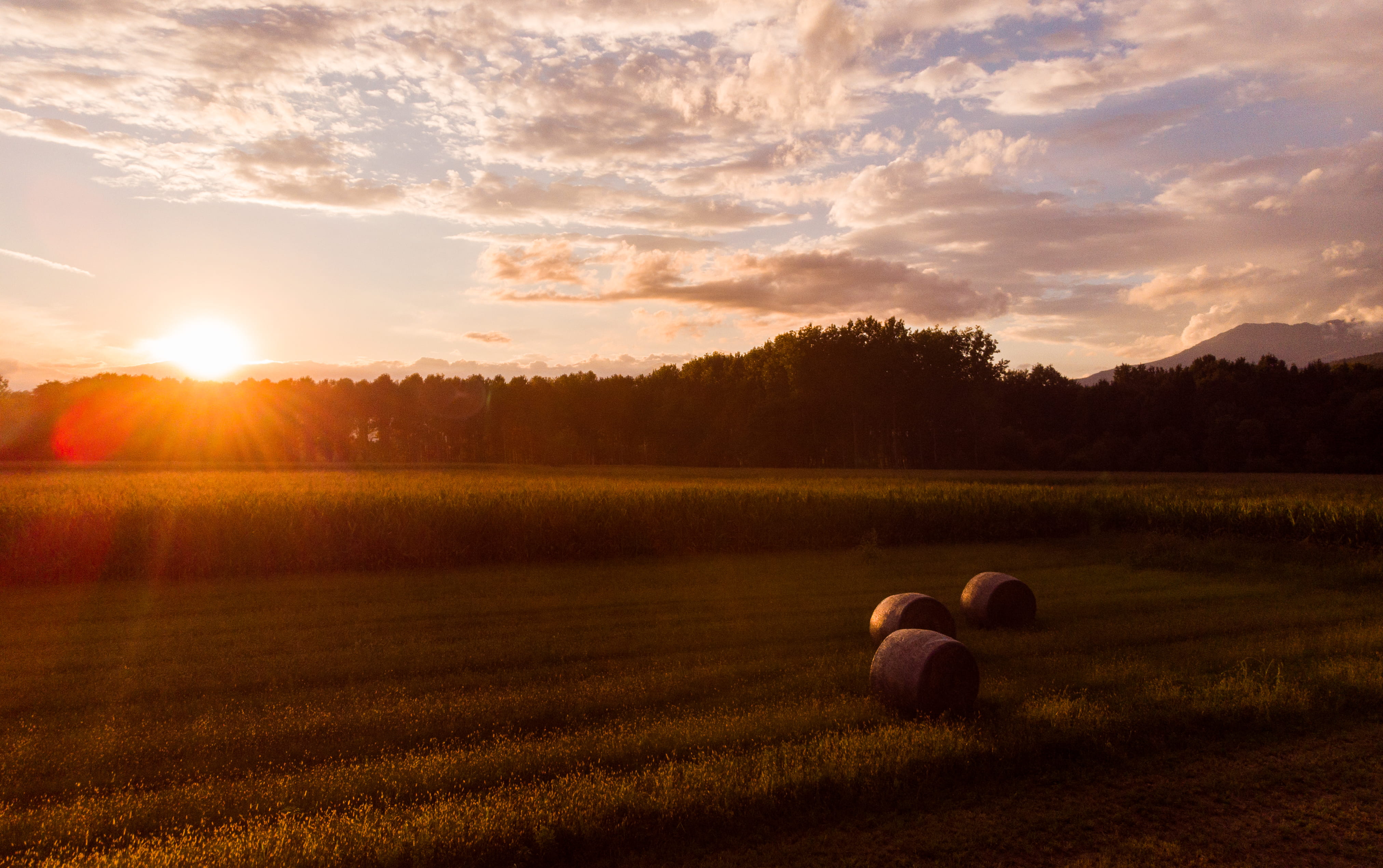 landscape, flora, Sunrise, Farm, agriculture, land, atmosphere, lens flare, horizon, Outdoor, tranquil scene, cloud - sky, Dawn, grass, 4K, beauty in nature, HD Wallpaper