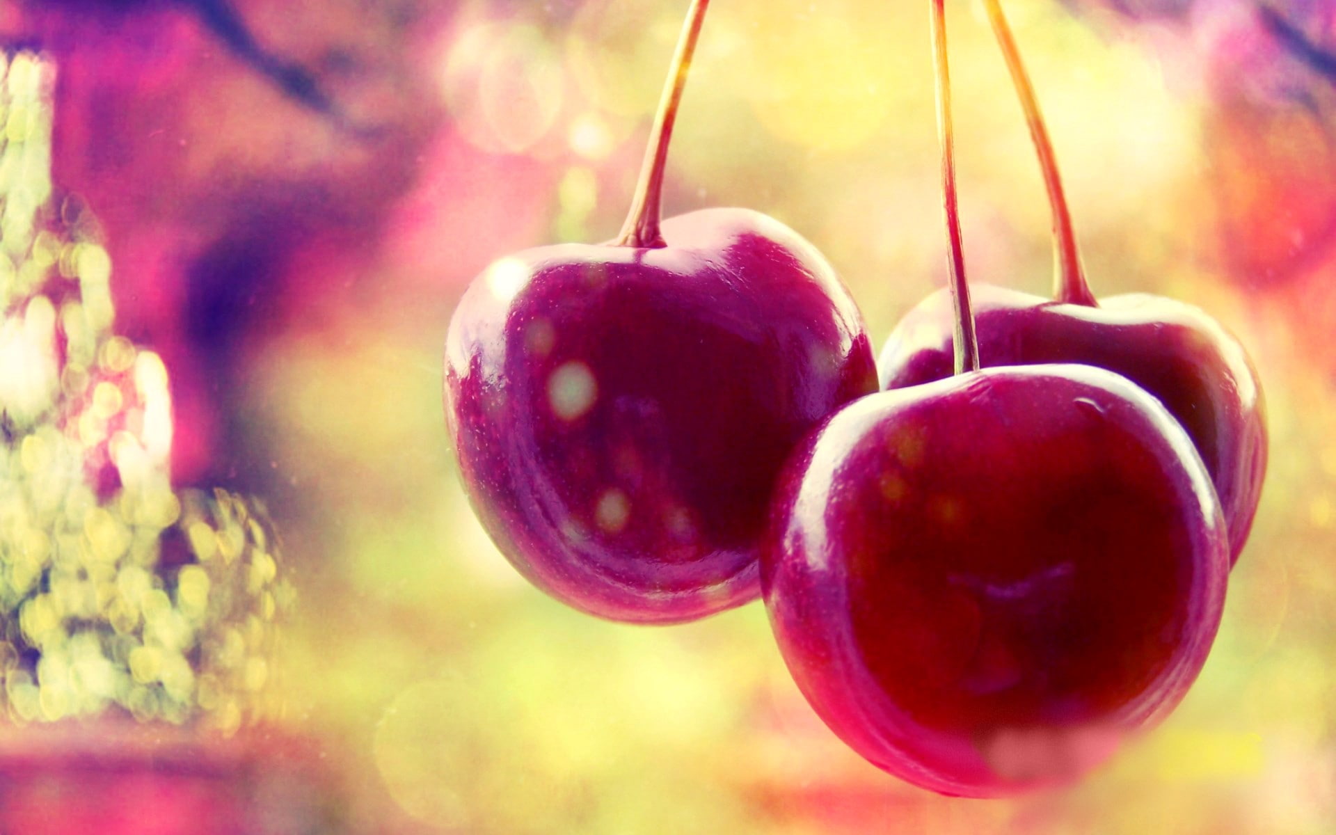 cherries (food), 1080P, fruit, macro, plants, HD Wallpaper
