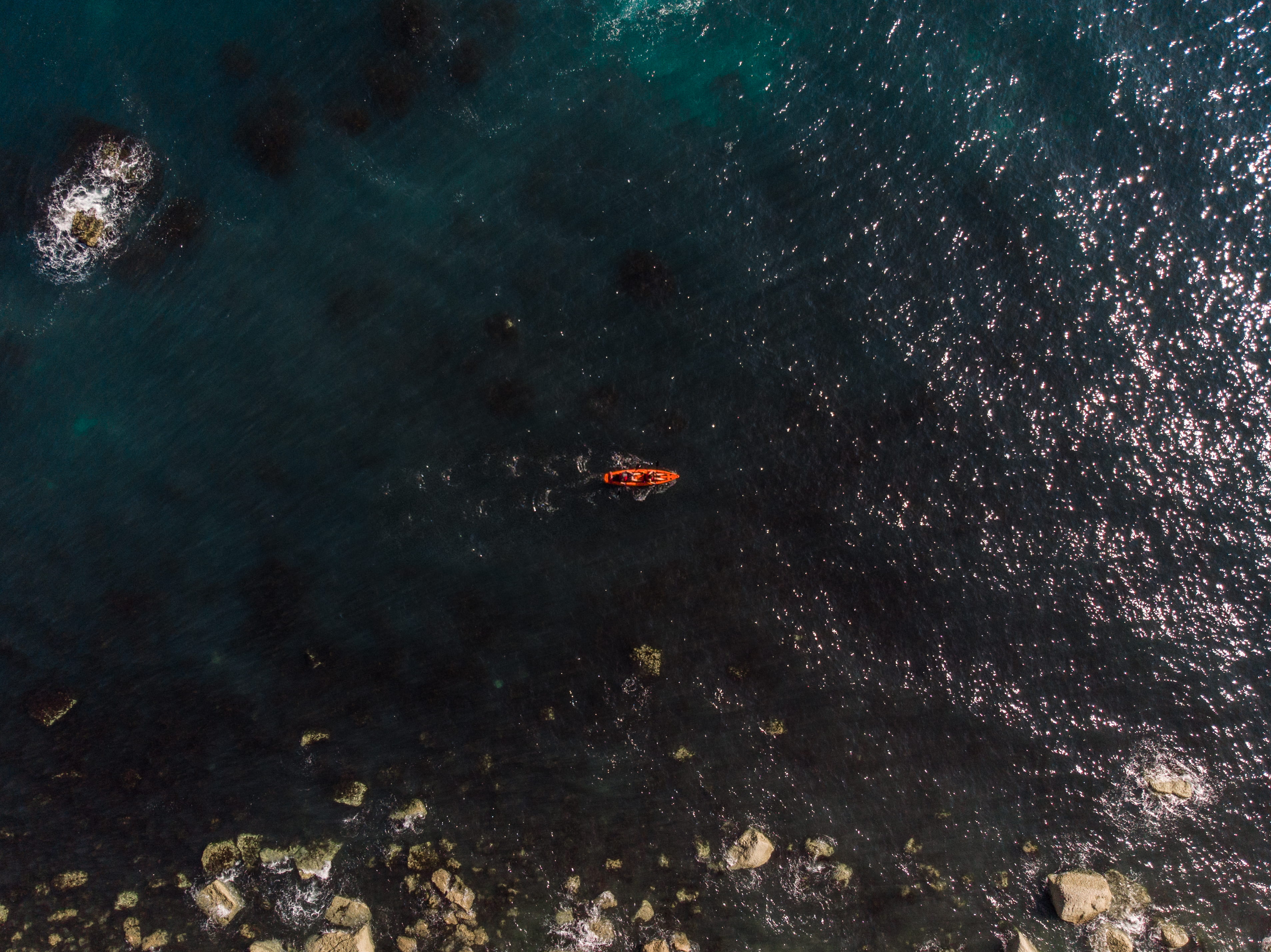 boat, above, shore, photography, canoe, beach, no people, drone, devon, minimal, fish, marine, aerial, sea kayak, outdoors, person, animal wildlife, body, HD Wallpaper