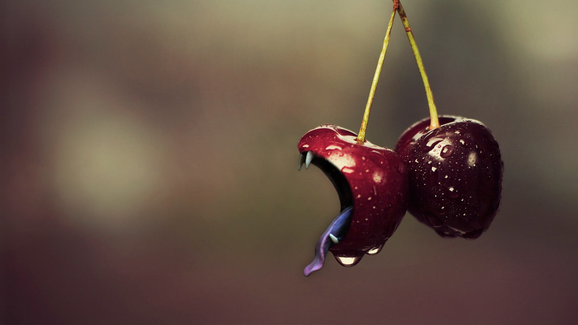 healthy eating, two, ripe, cherry, wellbeing, food and drink, day, plant stem, cherries, berry fruit, food, mouths, fruit, nature, cherries (food), hanging, HD Wallpaper