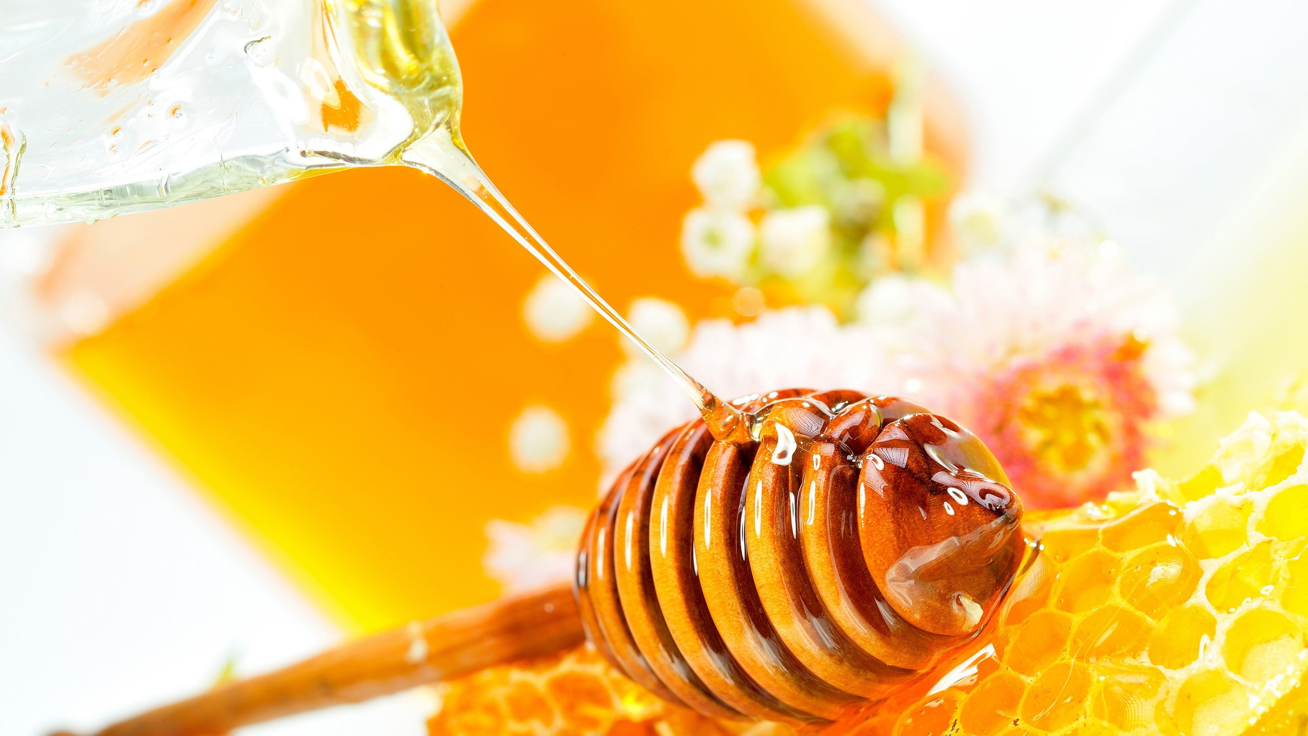 food, asian food, meat, animal themes, yellow, indoors, nature, 2K, water, animal, freshness, snack, close-up, no people, sweet food, food and drink, healthy eating, HD Wallpaper