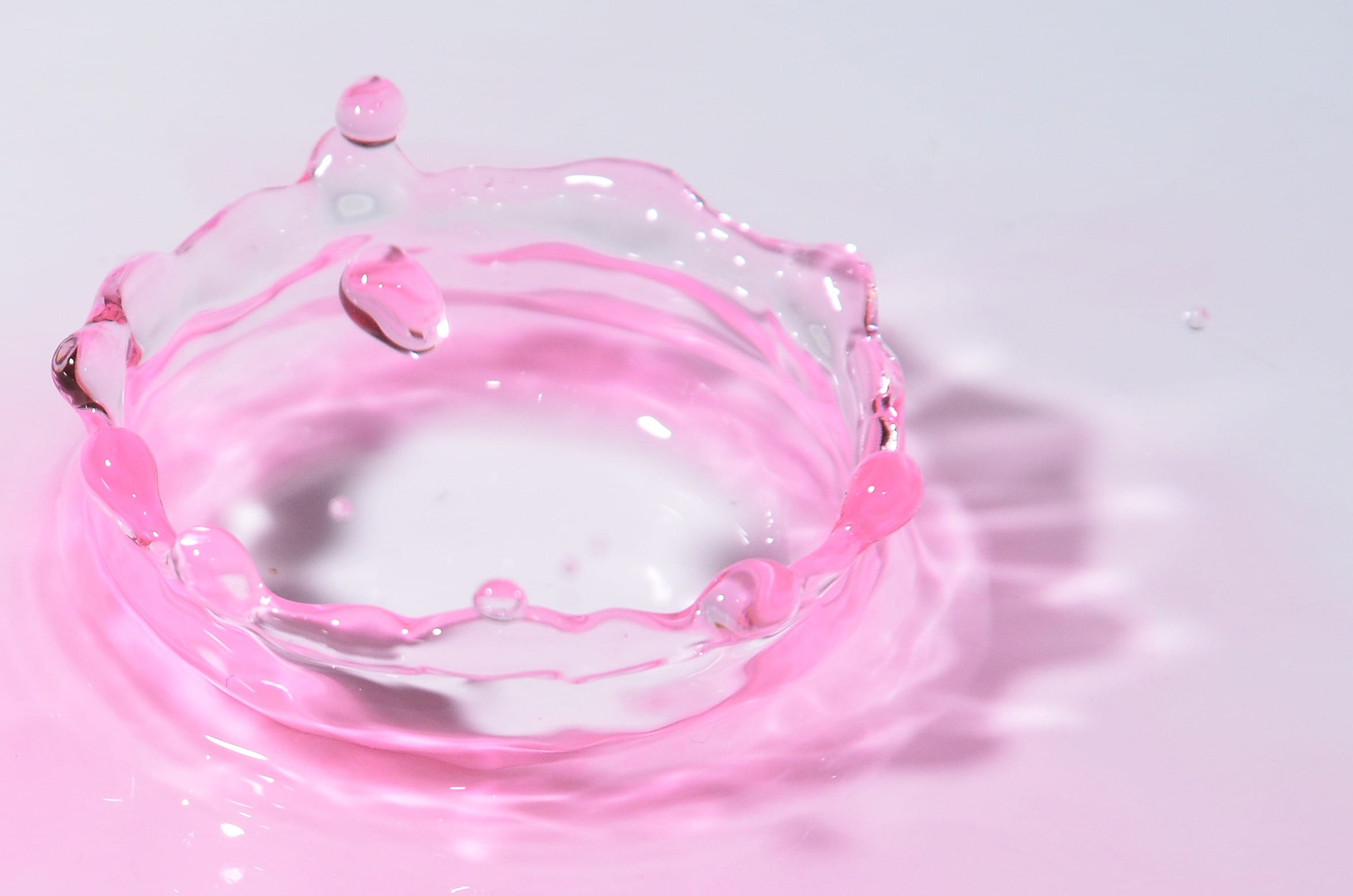 freshness, white background, drop, drop of water, selective focus, 1080P, splash, close-up, clear, food, pink, splashing, indoors, studio shot, sweet, HD Wallpaper