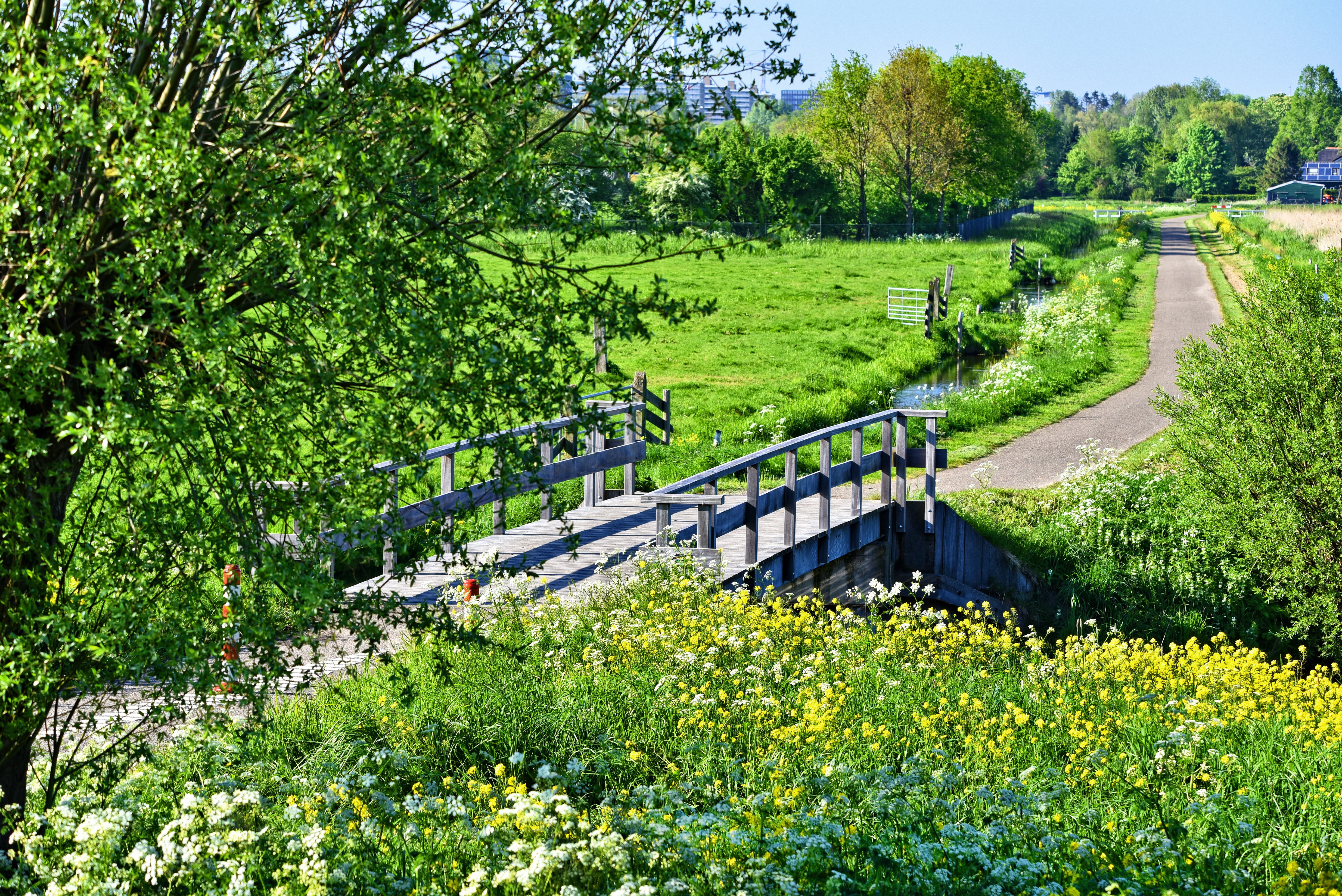 dutch landscape, plant, connection, growth, nature, flower, grass, land, no people, pollards, bridge, beauty in nature, surrounded, outdoors, field, tree, HD Wallpaper