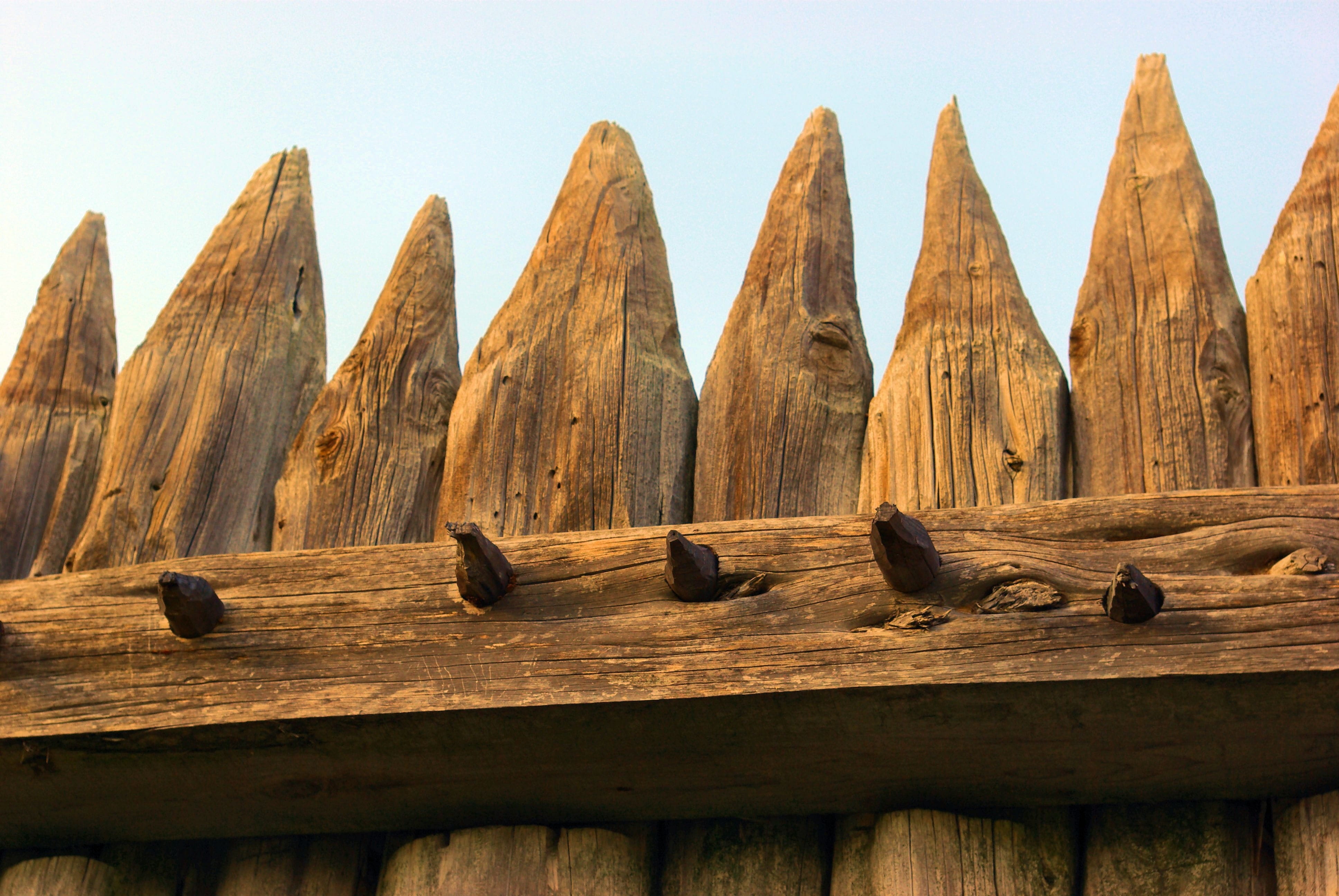 fort parker palisade, animal themes, day, shape, barrier, low angle view, boundary, fortification, stockade, nature, stakewall, clear sky, texas, wood - material, HD Wallpaper