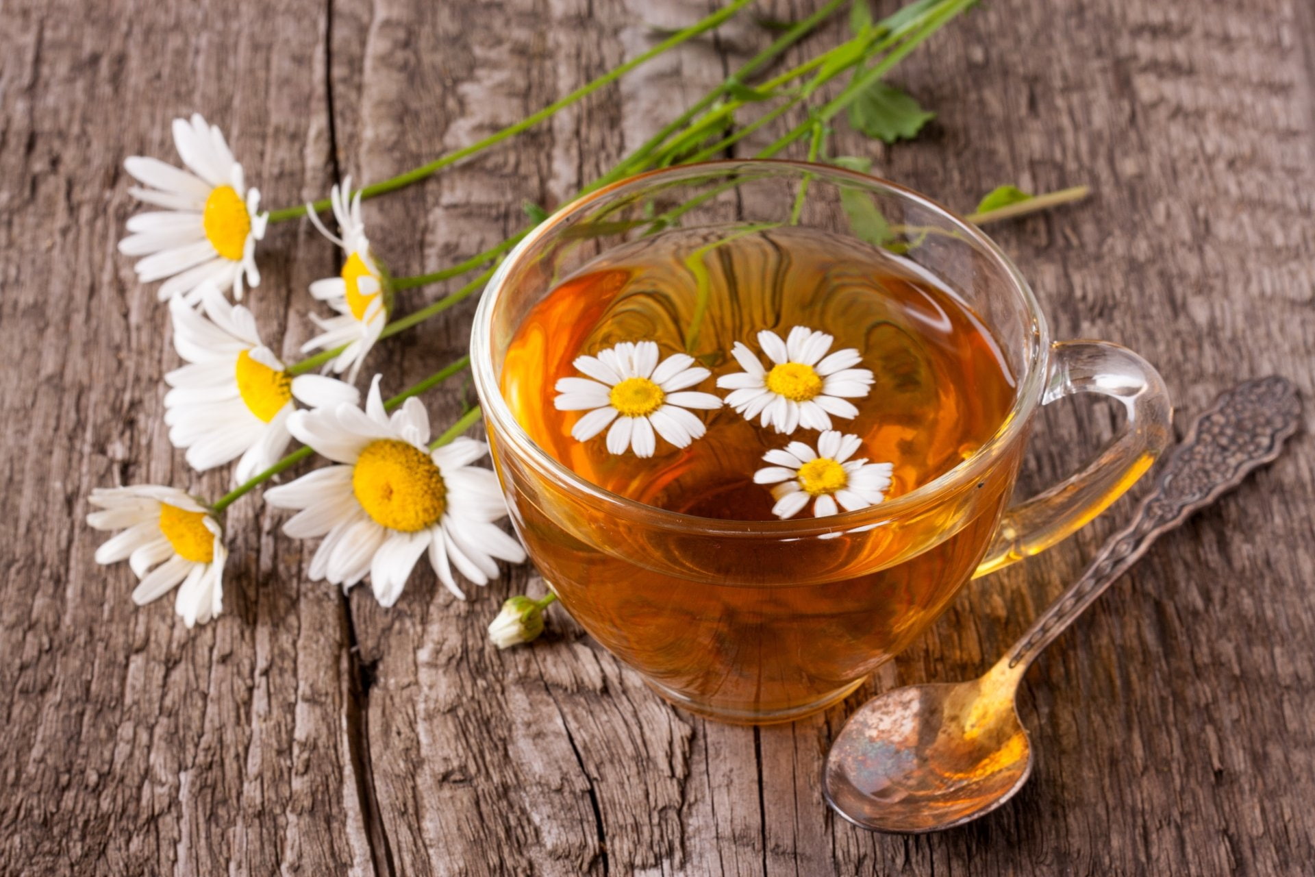 Tea, Food, 1080P, Cup, Chamomile, White Flower, HD Wallpaper