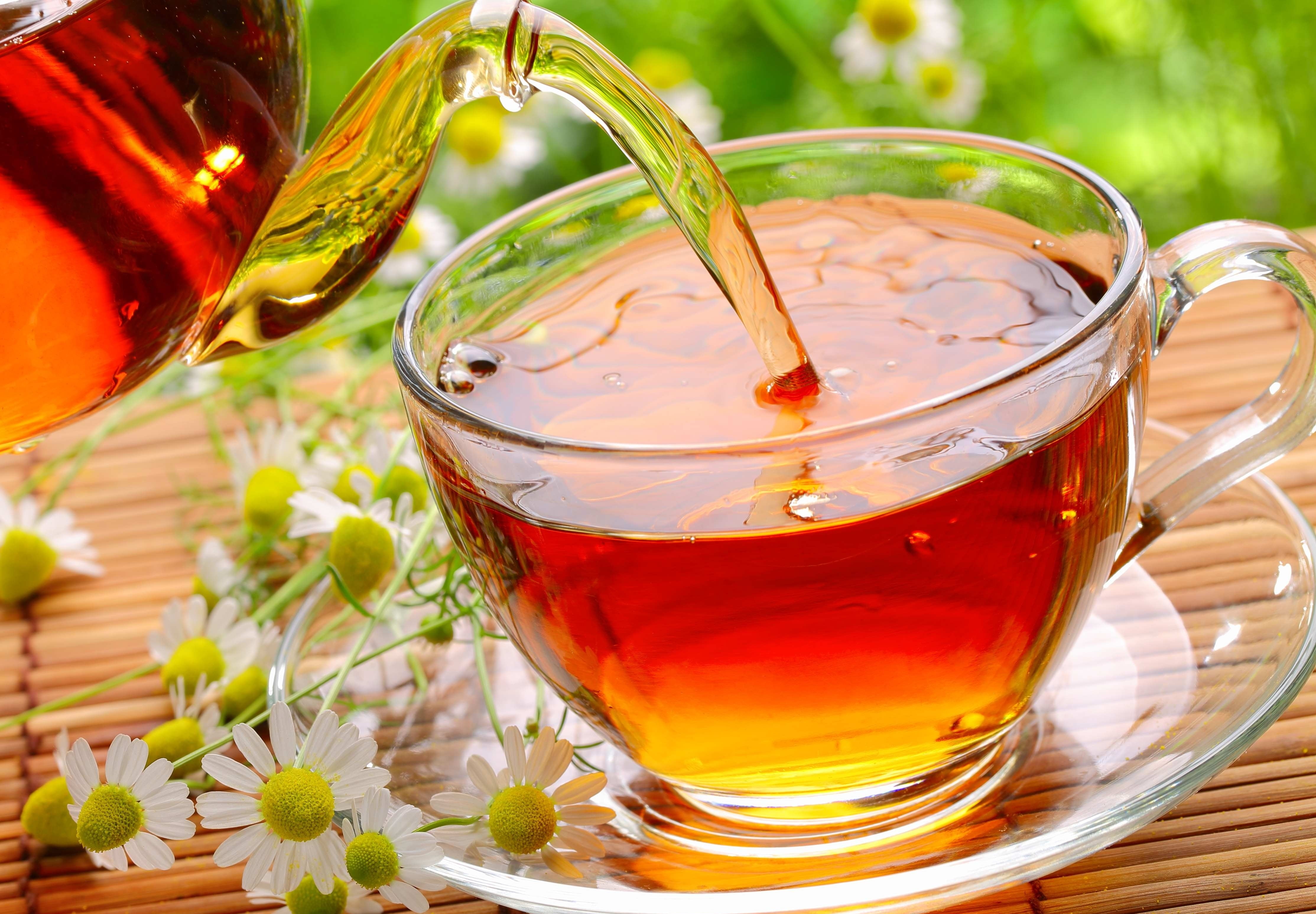 4K, teapot, close-up, flowers, still life, freshness, drinking glass, clear, no people, teacup, saucer, refreshment, chamomile, Cup, glass, alcohol, glass - material, HD Wallpaper