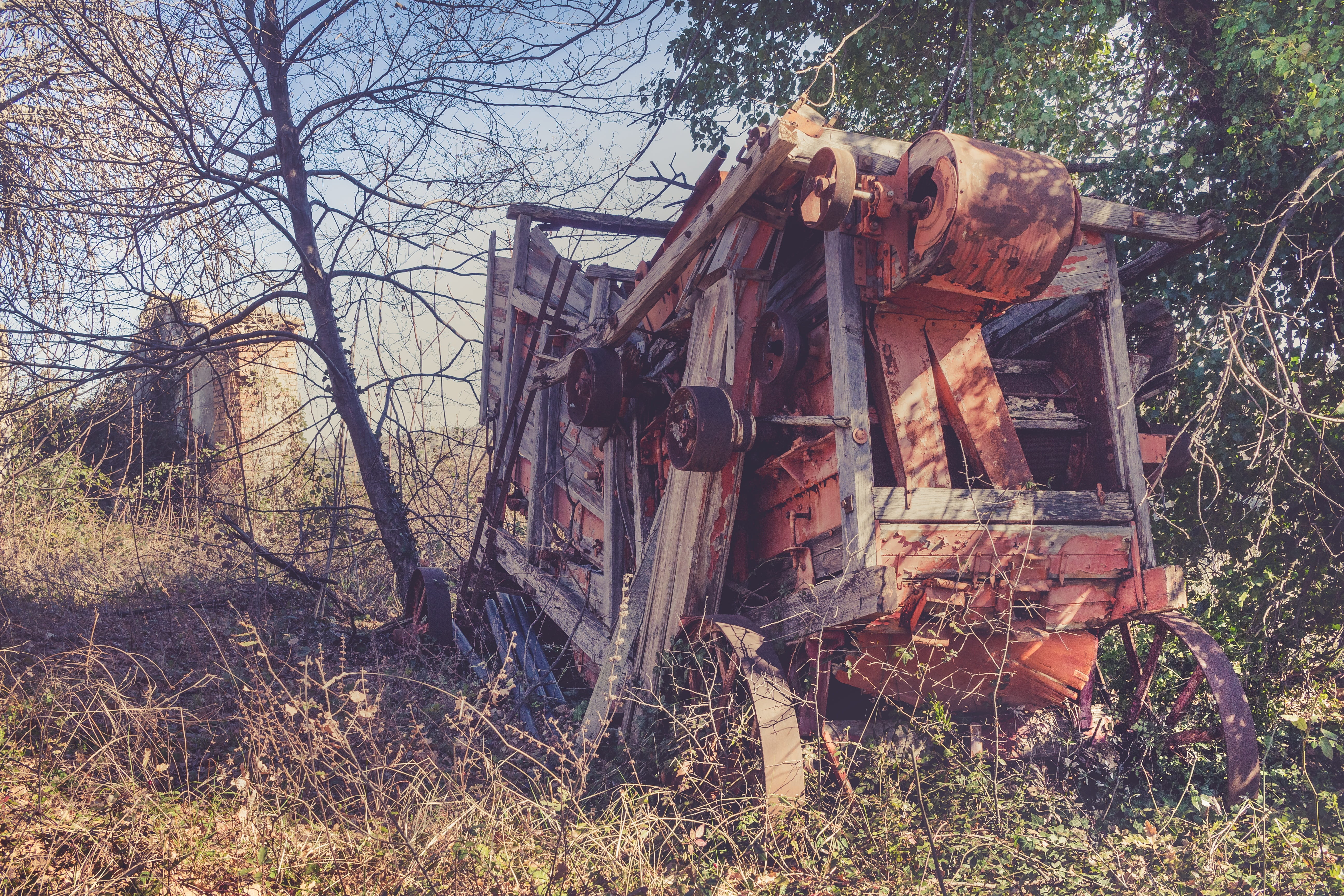 ancient, facility, old, obsolete, forest, nature, agriculture, work, campaign, plant, land, farm, bare tree, hay, tractors, prato, ruined, metal, tree, HD Wallpaper