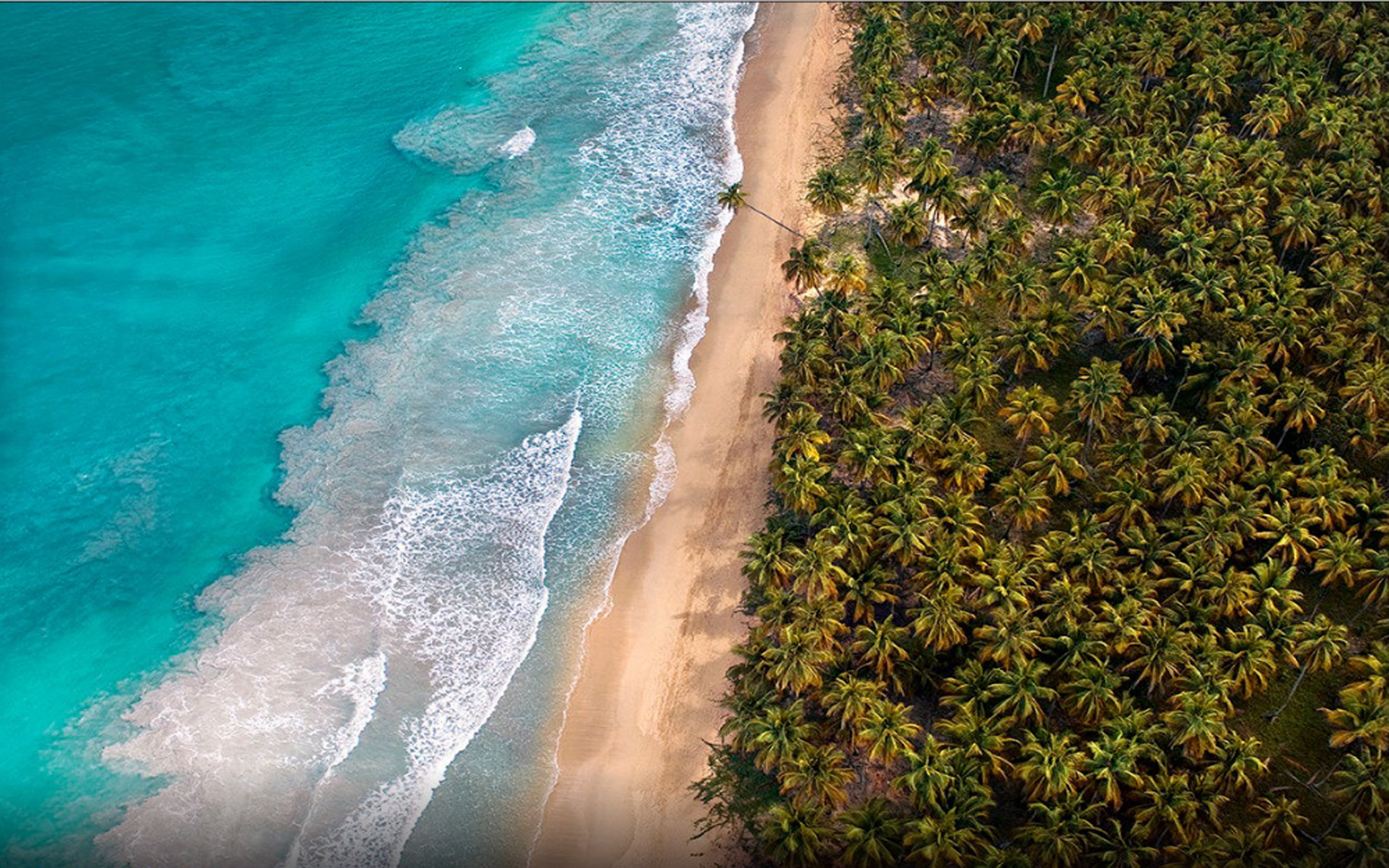 turquoise colored, aircraft, nature, view, surfing, 2K, beauty in nature, tranquility, sport, high angle view, wave, trees, plant, water, tropical, HD Wallpaper