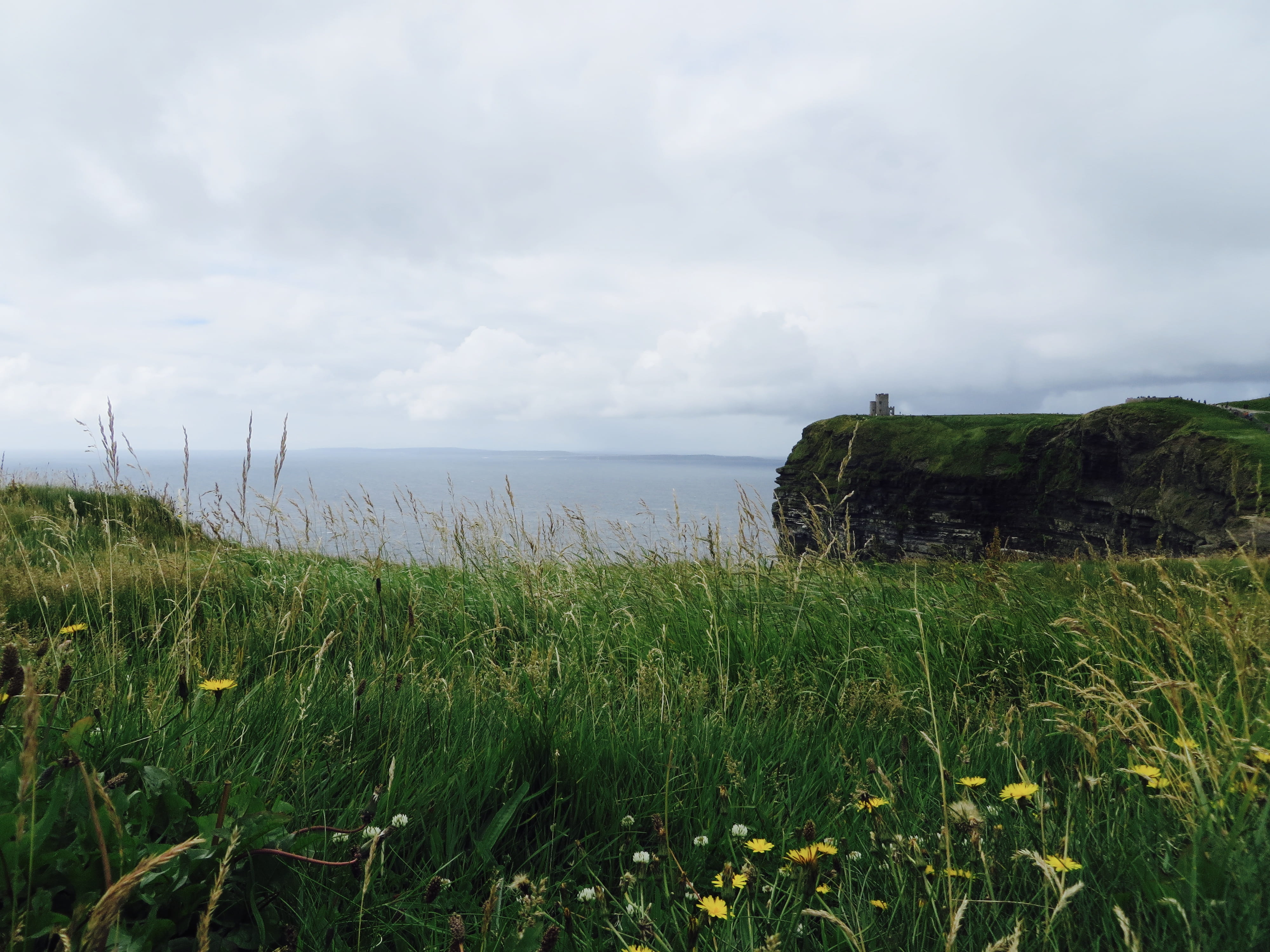 growth, tranquility, horizon over water, irish, non-urban scene, nature, europe, seascape, no people, horizon, plant, 4K, ocean, landscape, day, water, HD Wallpaper