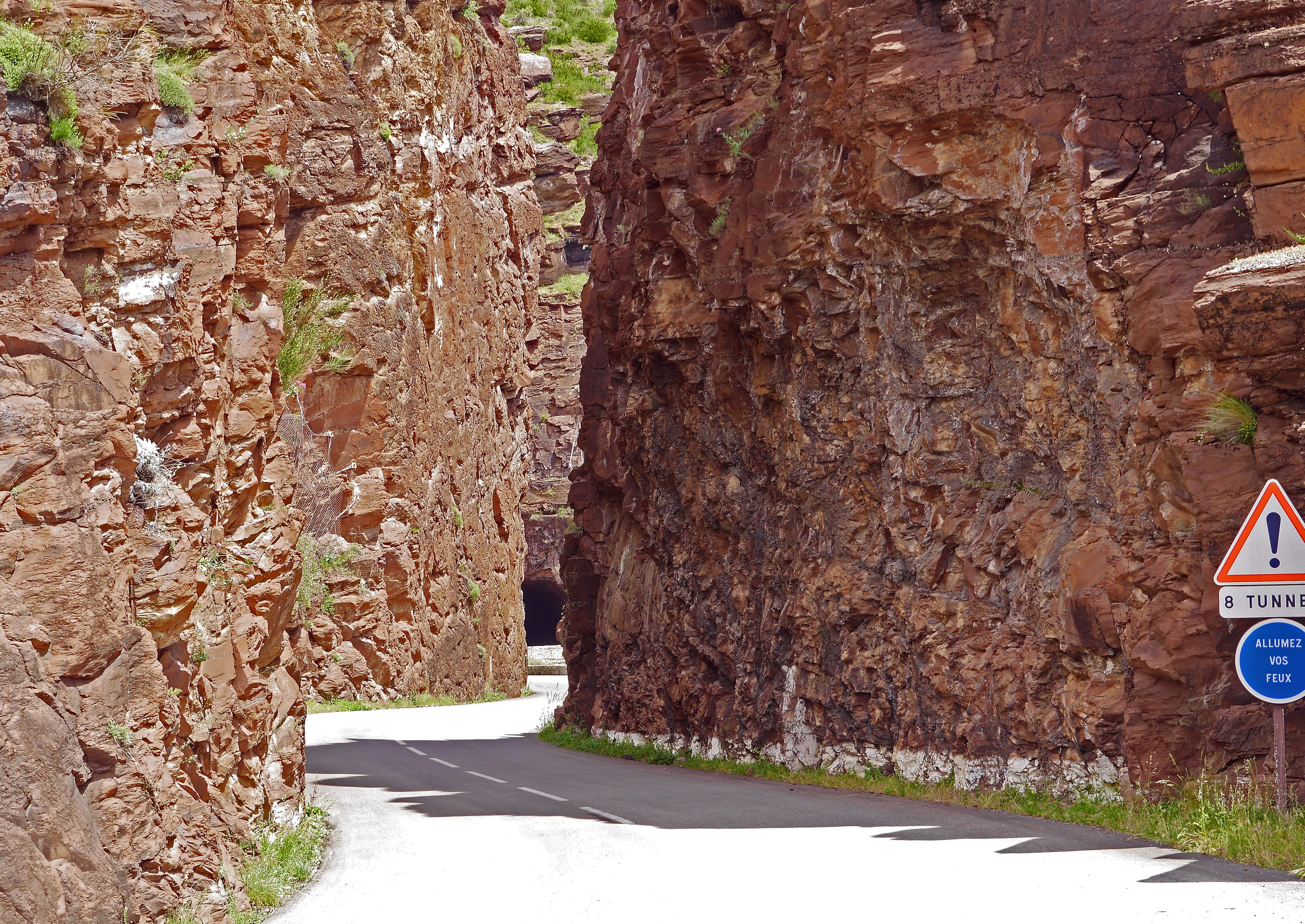 tree trunk, the way forward, perpendicular, day, sign, tunnel, daluis gorges, nature, alpine, curves, alpes maritimes, road, steep, canyon, le var, transportation, HD Wallpaper