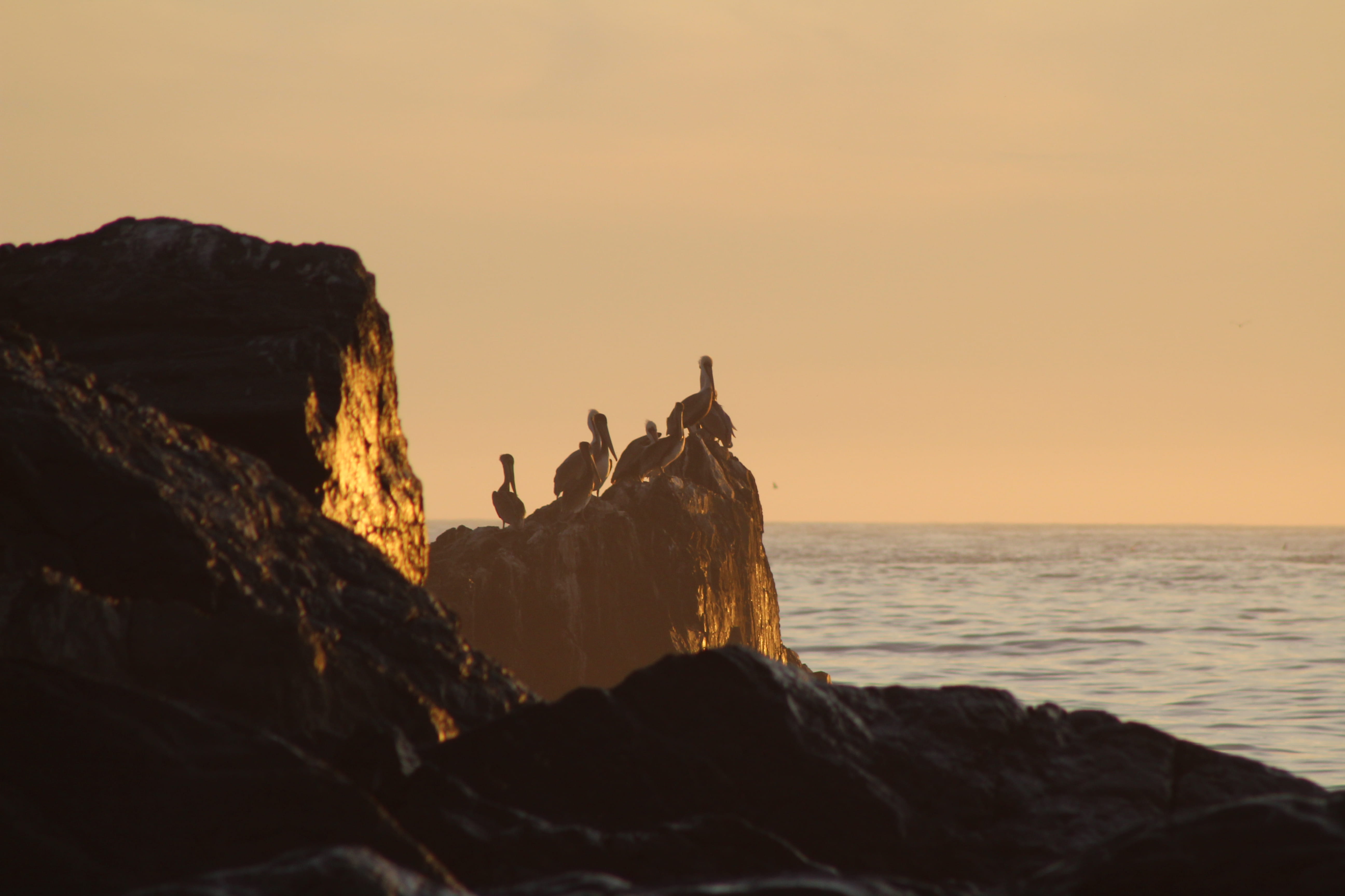 body, sunlight, outdoors, rock - object, dusk, red sky, dawn, pelican, 5K, cliff, big sur, no people, rock formation, orange color, formation, sunset, HD Wallpaper