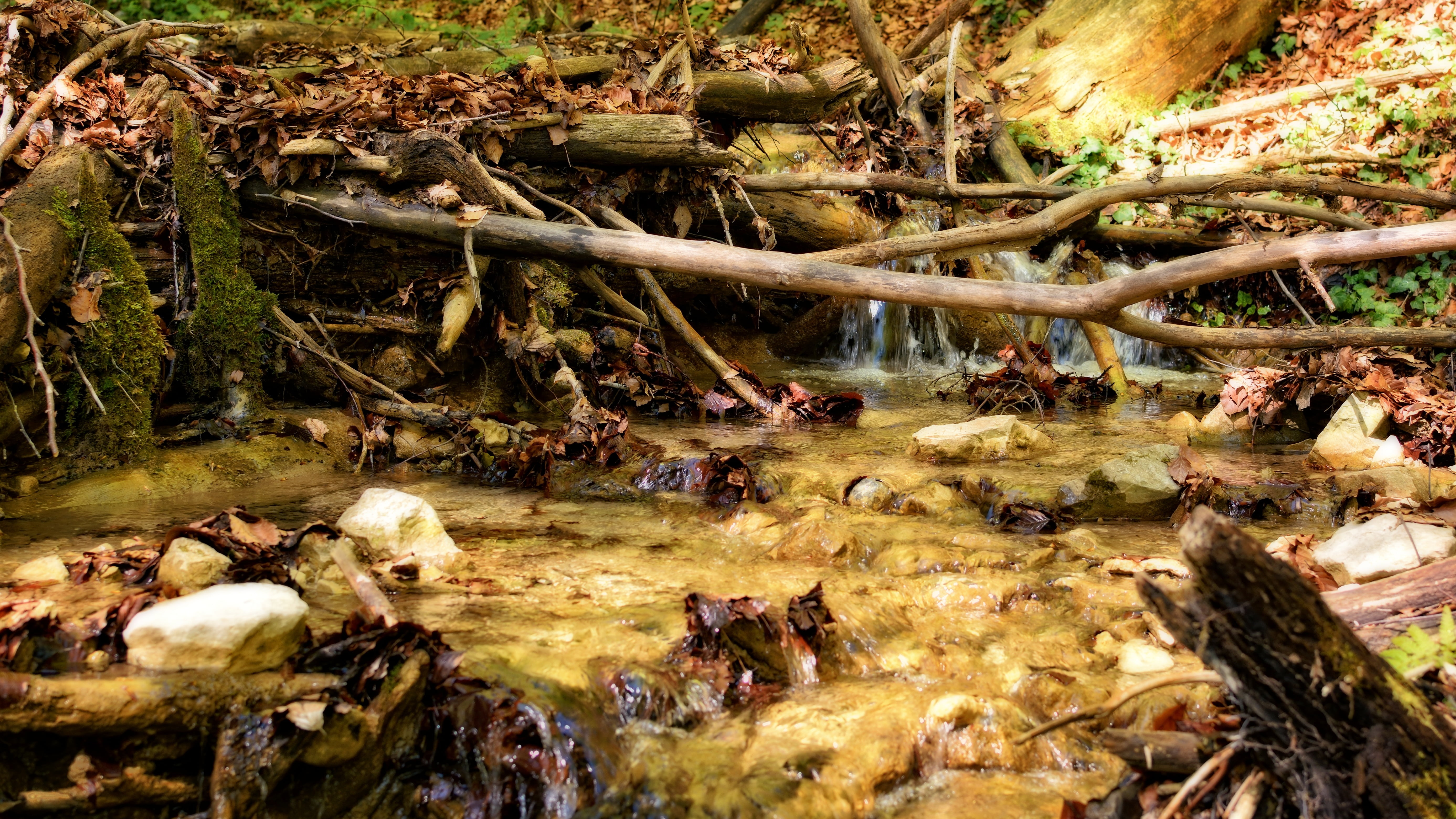 stream - flowing water, autumn, wild, of course, creek, moss, wood, tree, river, tranquility, aesthetic, forest, rock, riverbed, leaves, land, day, flowing water, HD Wallpaper