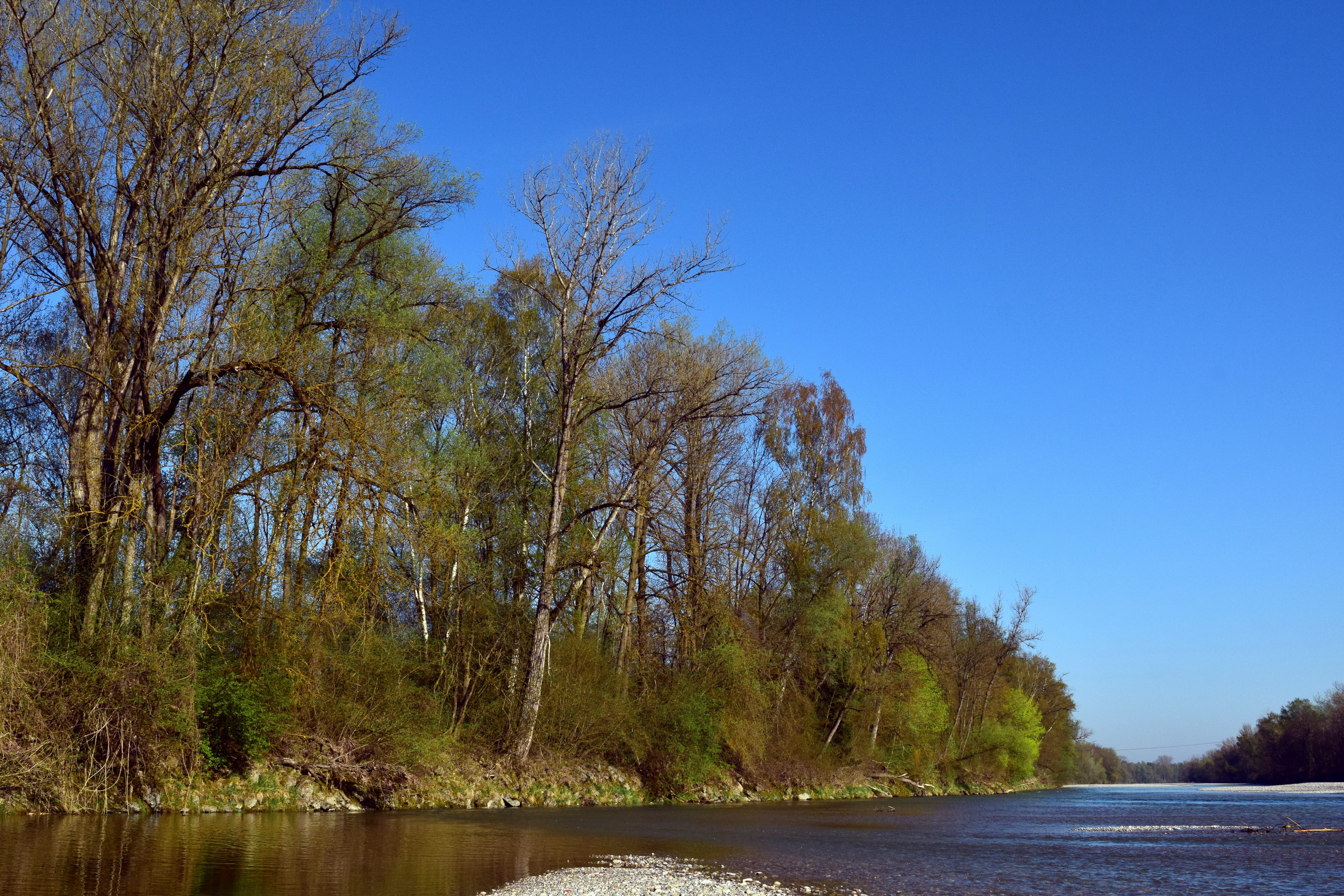 tree, plant, no people, scenics - nature, blue, non-urban scene, waters, river, land, day, clear sky, beauty in nature, nature, flow, tranquility, spring, HD Wallpaper