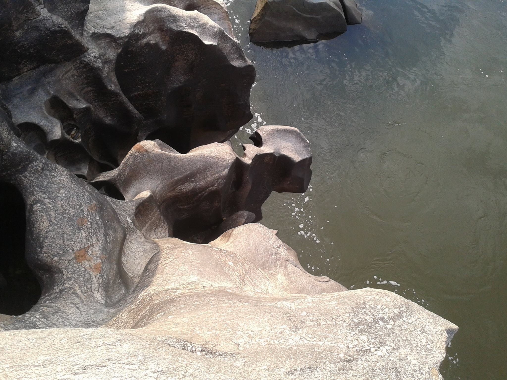 group of animals, rocks, rock formation, animal wildlife, nature, no people, solid, water, rock, animal themes, riverbed, vertebrate, 1080P, sunlight, HD Wallpaper