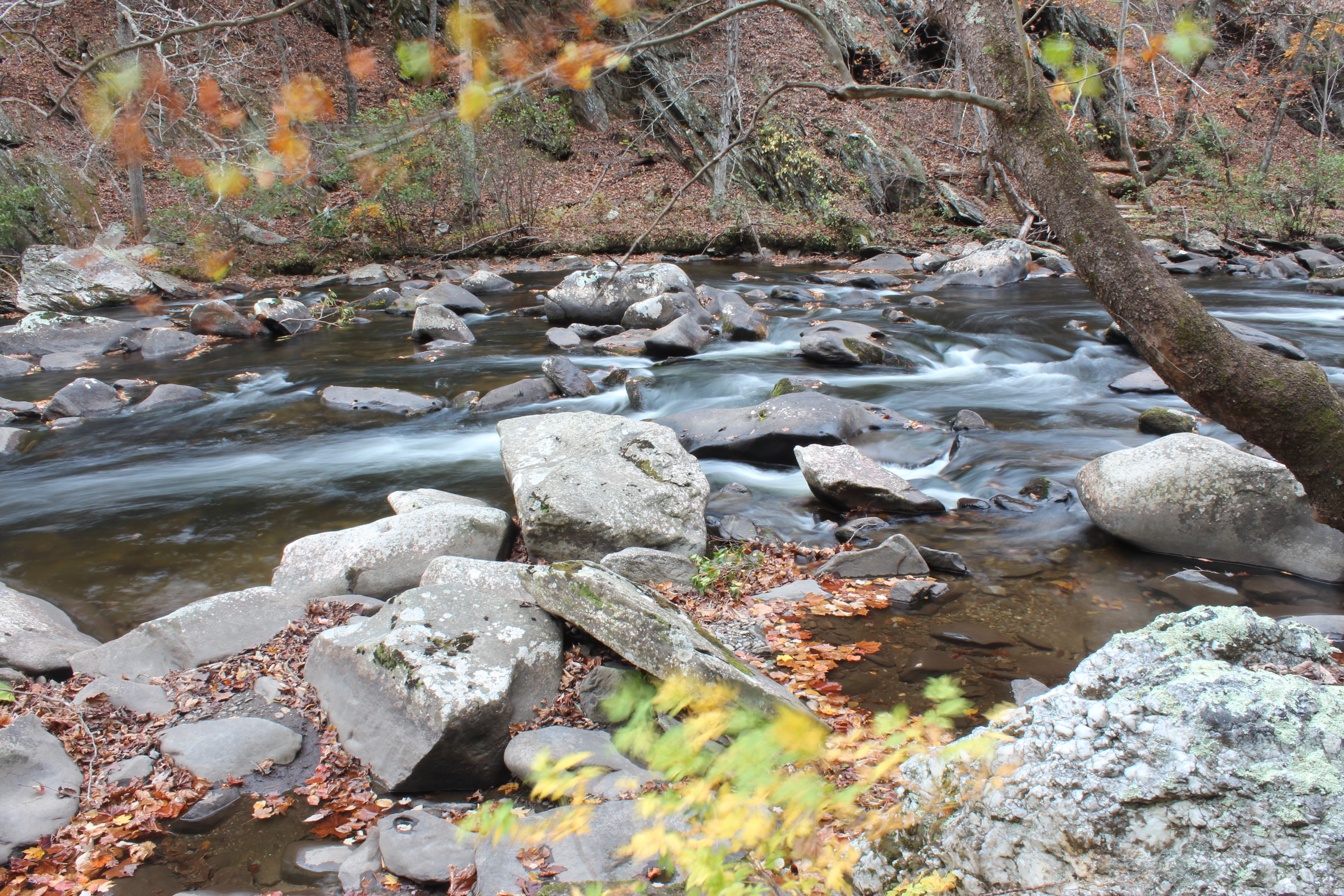 solid, leaf, forest, downloading, waterfall, stream, rock - Object, tranquility, plant, 5K, flowing Water, nature, beauty in nature, rock, river, rocks, HD Wallpaper