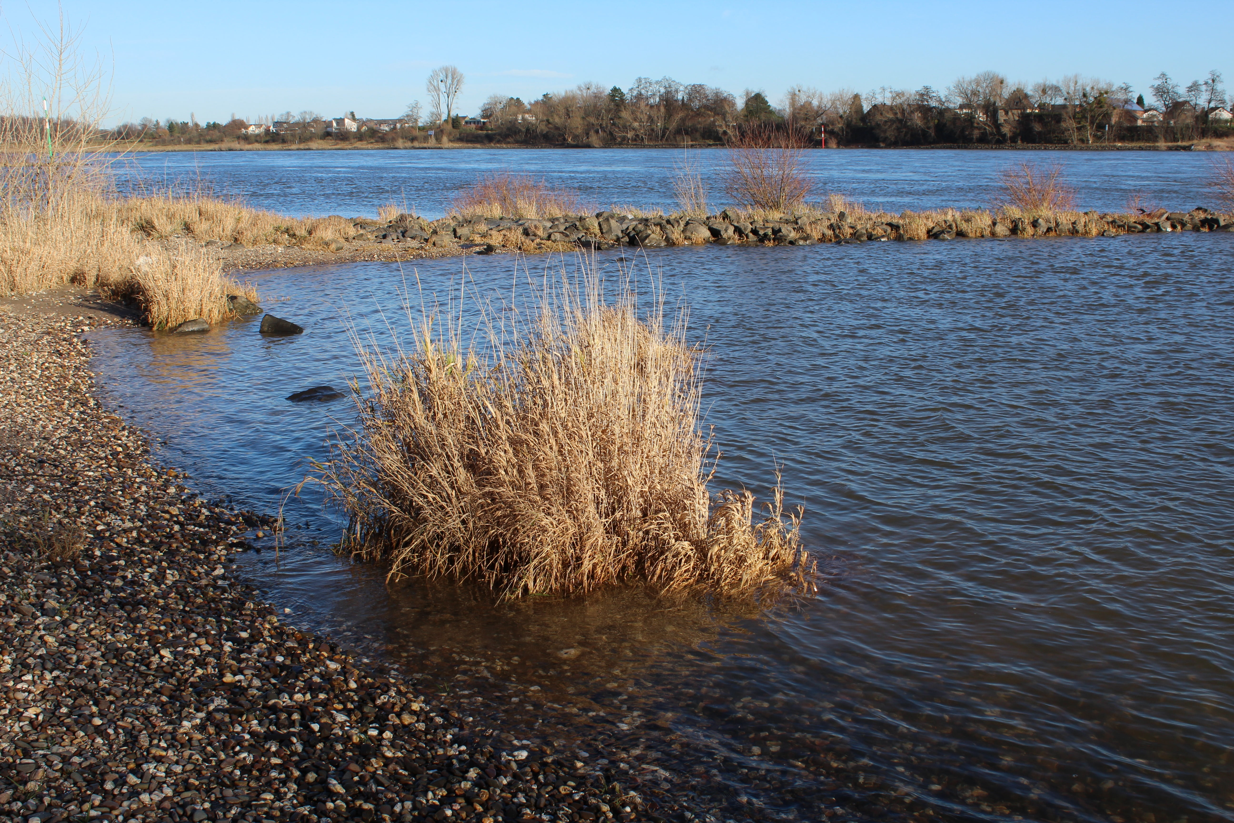 sky, tranquil scene, groyne, waters, landscape, riverbed, bank, day, non-urban scene, tree, environment, tranquility, grass, river, shore greenhouse, outdoors, HD Wallpaper