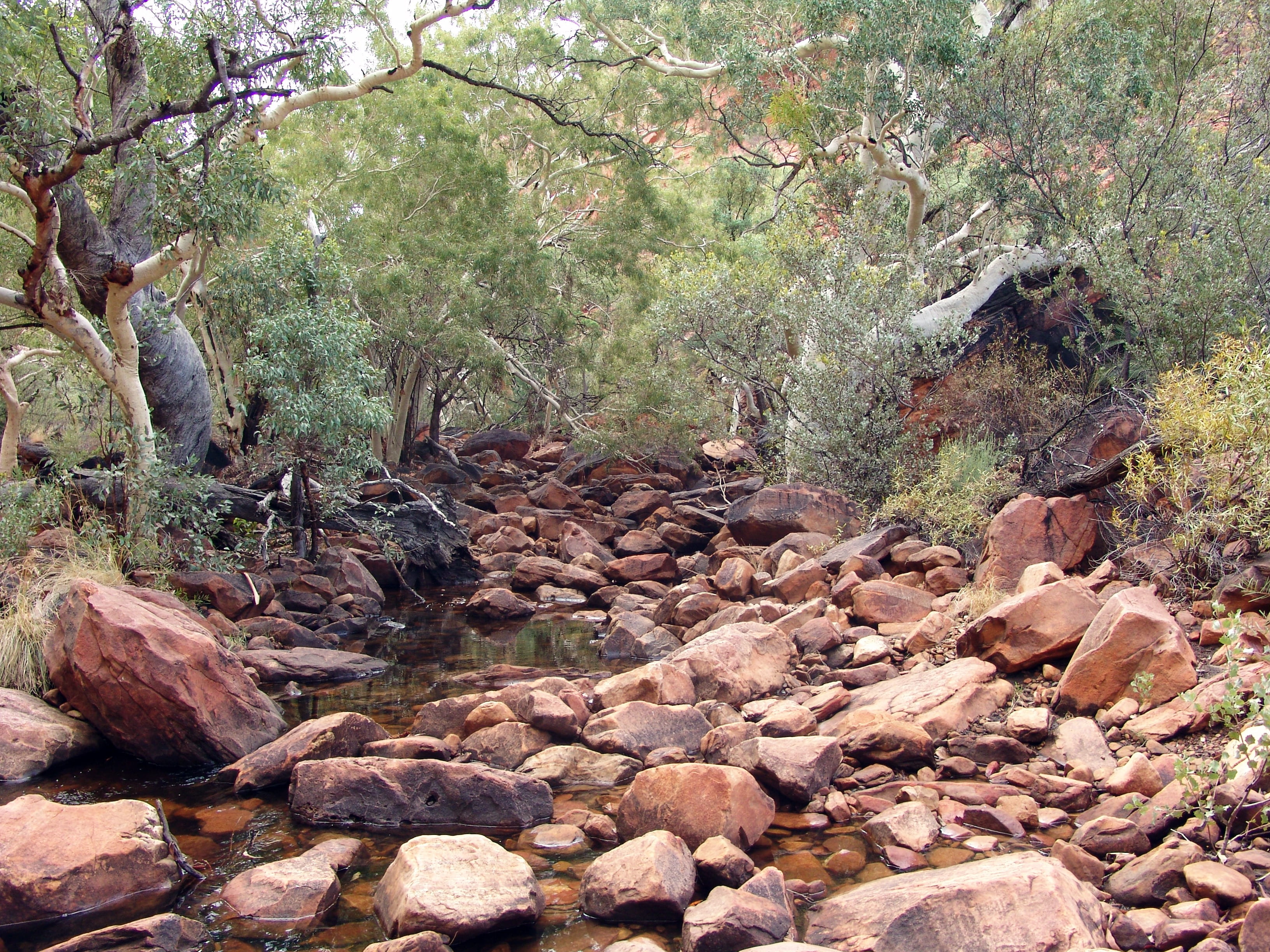 beauty in nature, non-urban scene, stones, tranquil scene, stack, growth, rock, australia, nature, 2K, rock - object, forest, land, tranquility, solid, HD Wallpaper