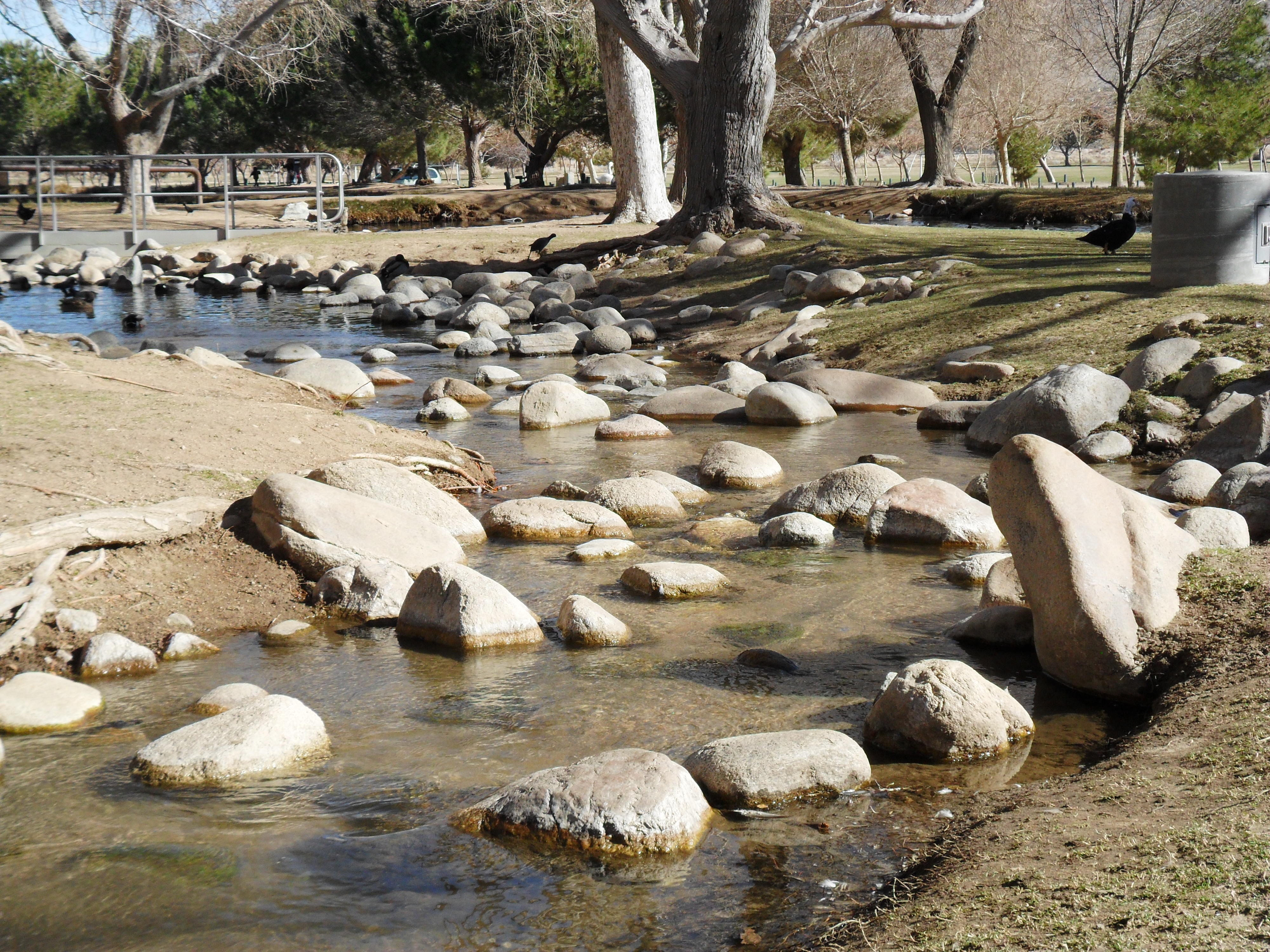 flowing, waterfront, nature, water, no people, lake, natural, landscape, riverbed, plant, tree, sunlight, day, rock, animals in the wild, solid, group of animals, HD Wallpaper