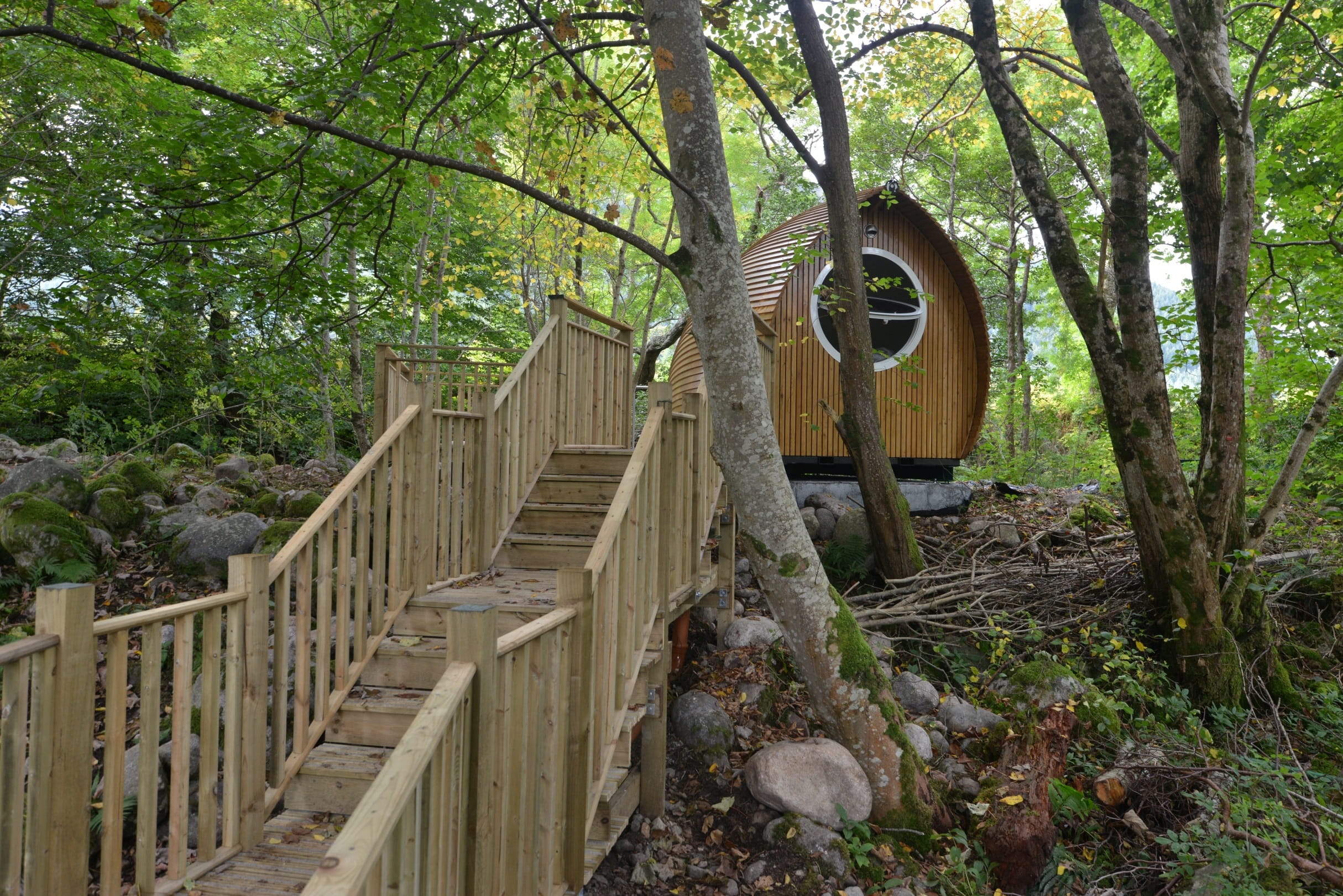 tree, growth, Scottish, armadilla, riverbeds, built structure, wood - material, no people, outdoors, tranquility, architecture, 1080P, nature, footbridge, HD Wallpaper