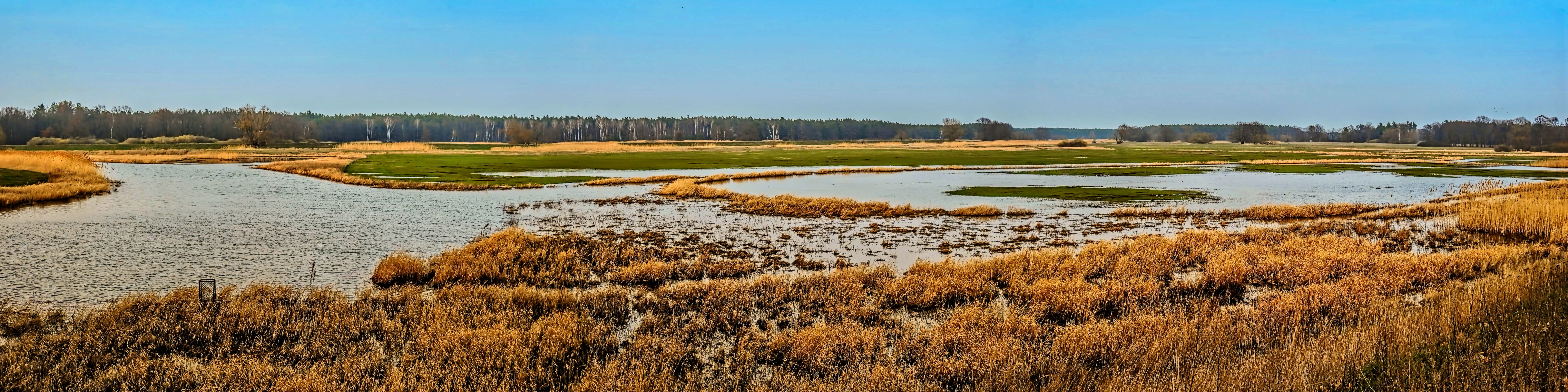 landscape, slurry, outdoors, marsh, river landscape, panoramic, wetland, abendstimmung, reed, day, agriculture, riverbed, no people, plant, nature, 8K, HD Wallpaper
