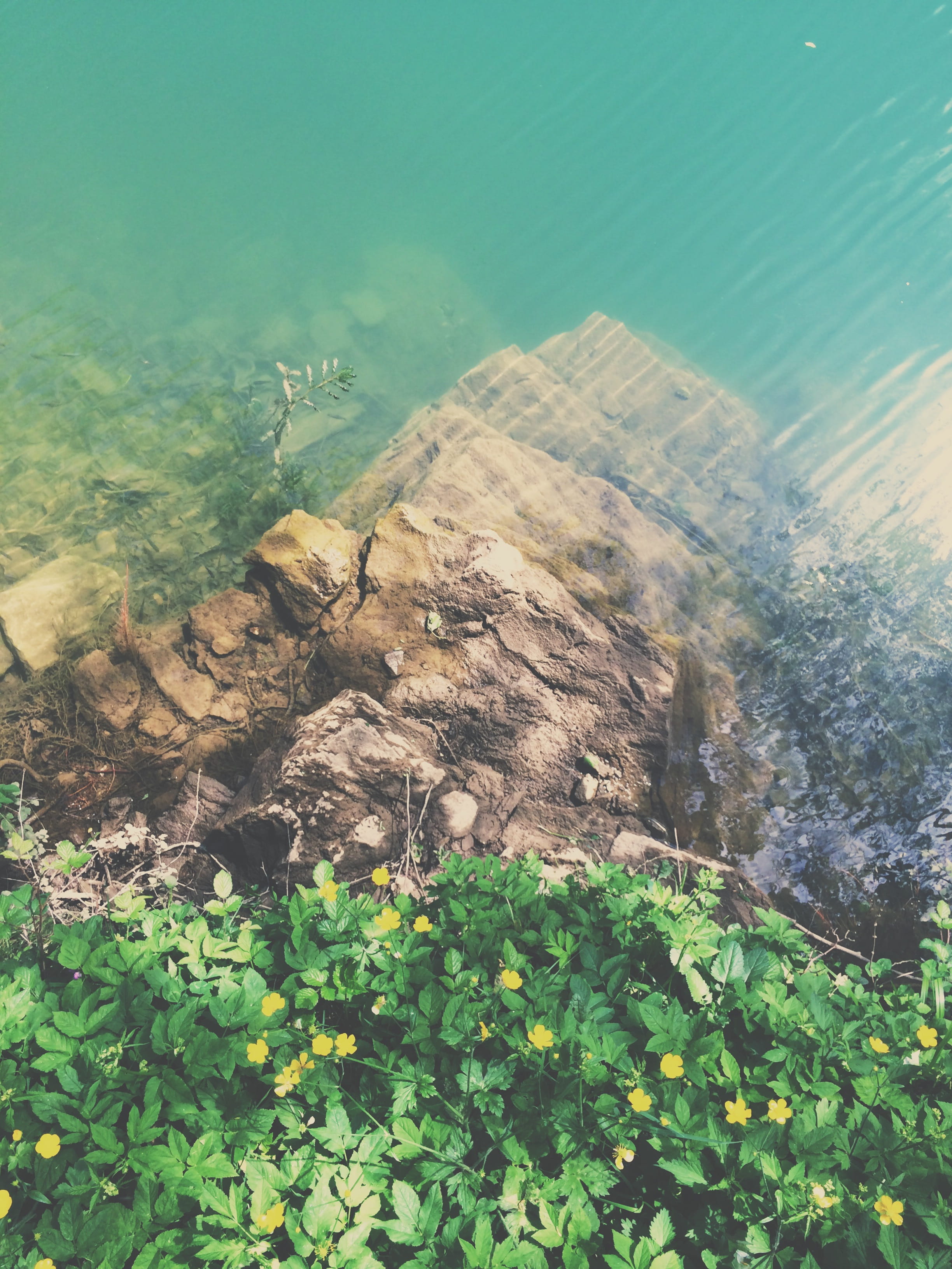 via della torre, beauty in nature, lake, solid, no people, riverbed, rock, tree, water, rock - object, scenics - nature, sea, plant, isola santa, blue, Phone HD Wallpaper
