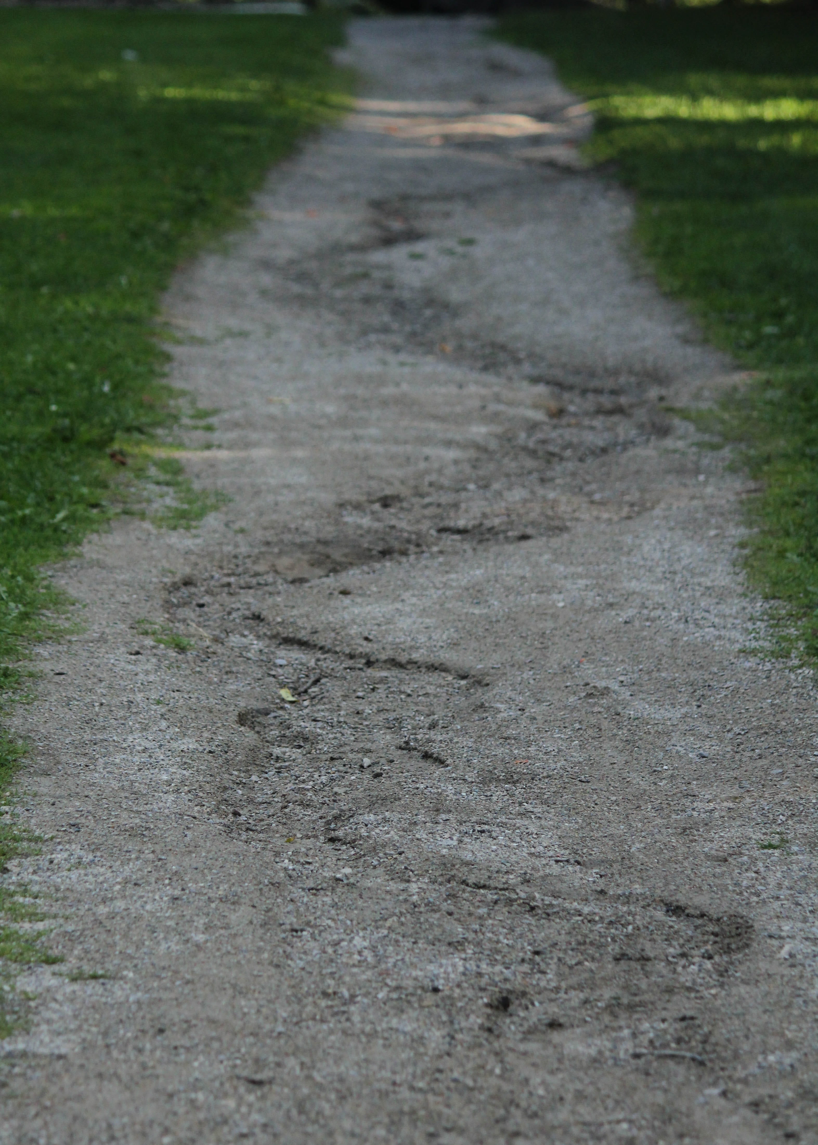 empty, selective focus, transportation, field, 4K, day, absence, road, land, high angle view, footpath, plant, grass, concrete, city, path, street, riverbed, Phone HD Wallpaper