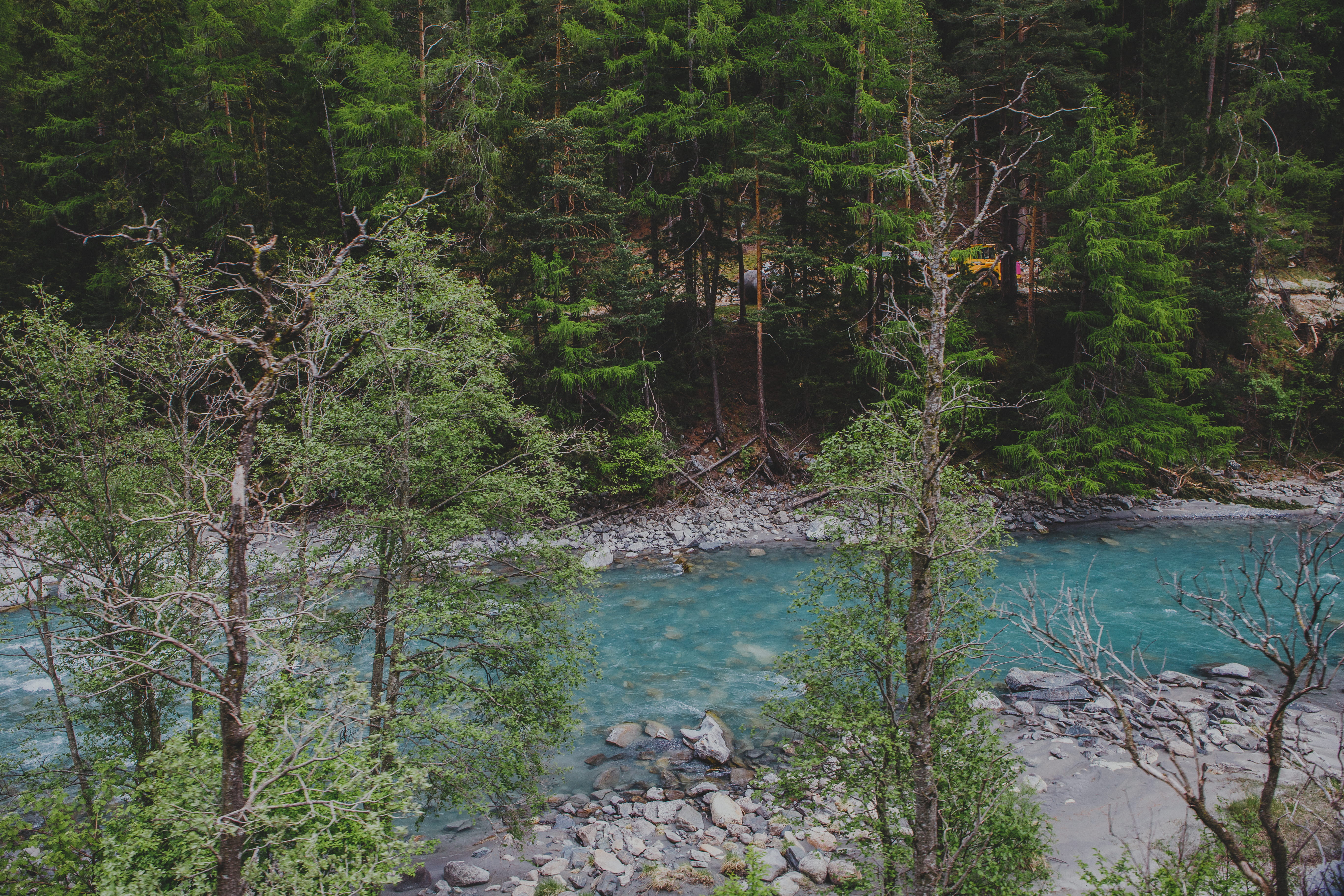 beauty in nature, tranquil scene, plant, no people, river, blue, cold, landscape, growth, non-urban scene, ocean, riverbed, idyllic, sea, flowing water, HD Wallpaper