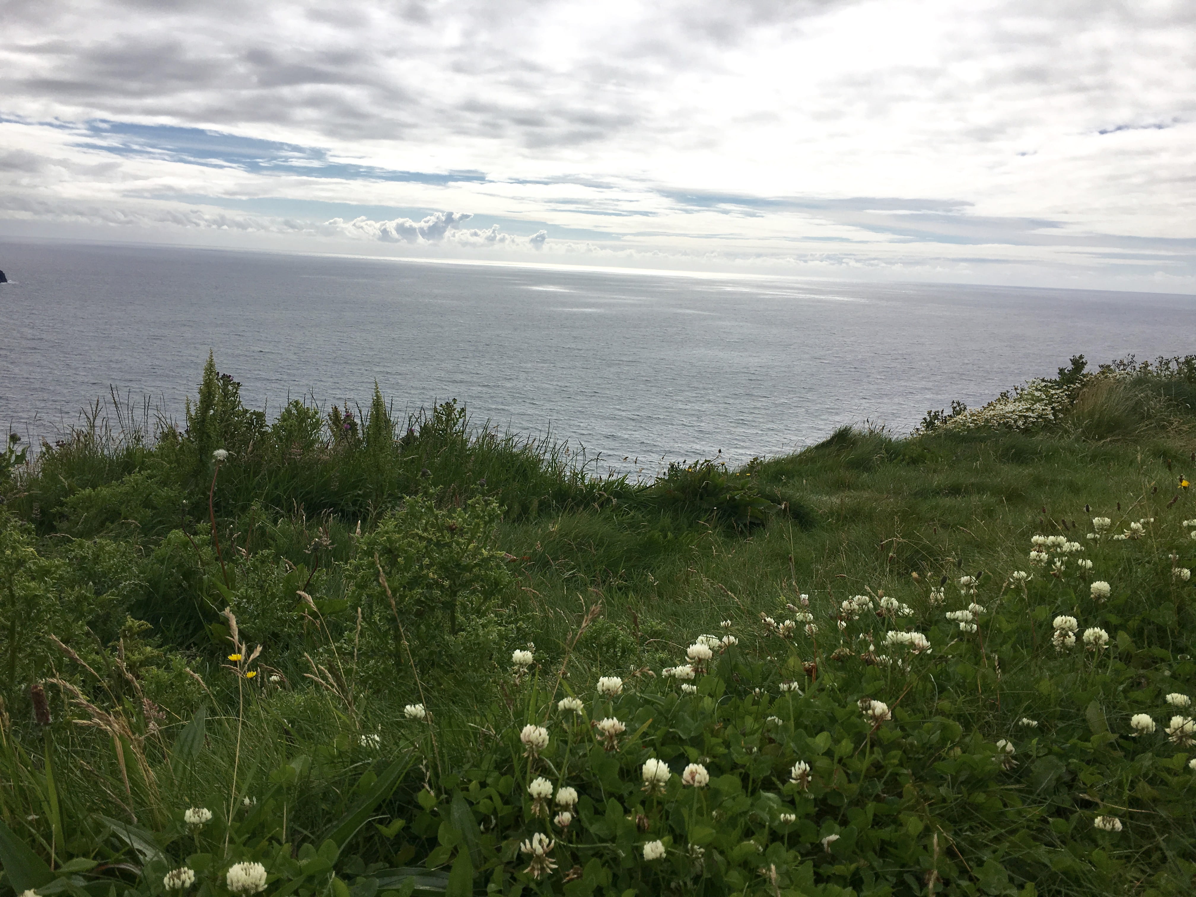 ireland, sea, tranquility, grass, flowers, europe, land, tranquil scene, wildflowers, nature, 4K, sky, scenics - nature, plant, atlantic, beauty in nature, HD Wallpaper