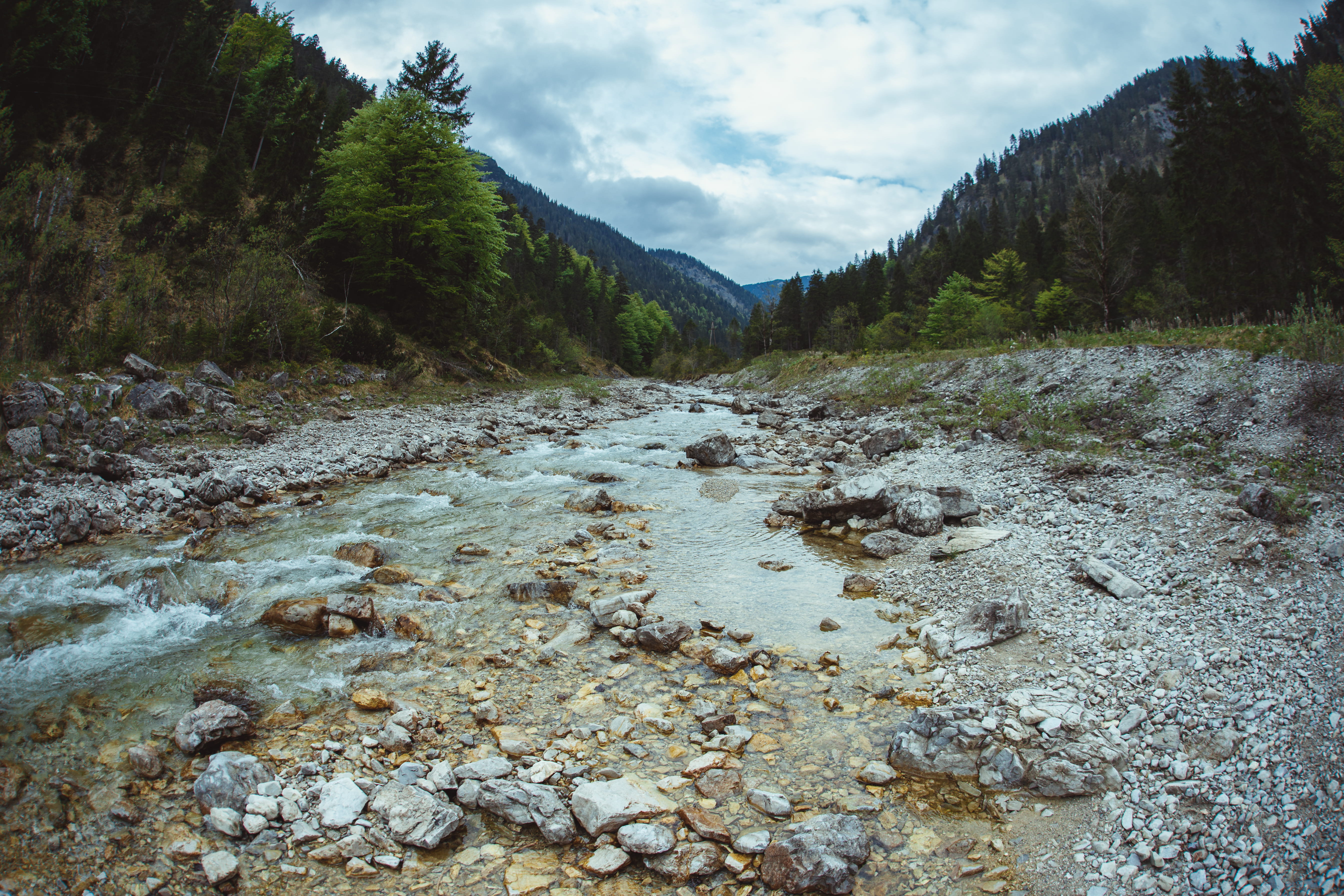 outdoors, alps, nature, scenery, plant, tree, waterfall, flowing water, growth, non-urban scene, 5K, sky, water, tranquility, beauty in nature, no people, HD Wallpaper