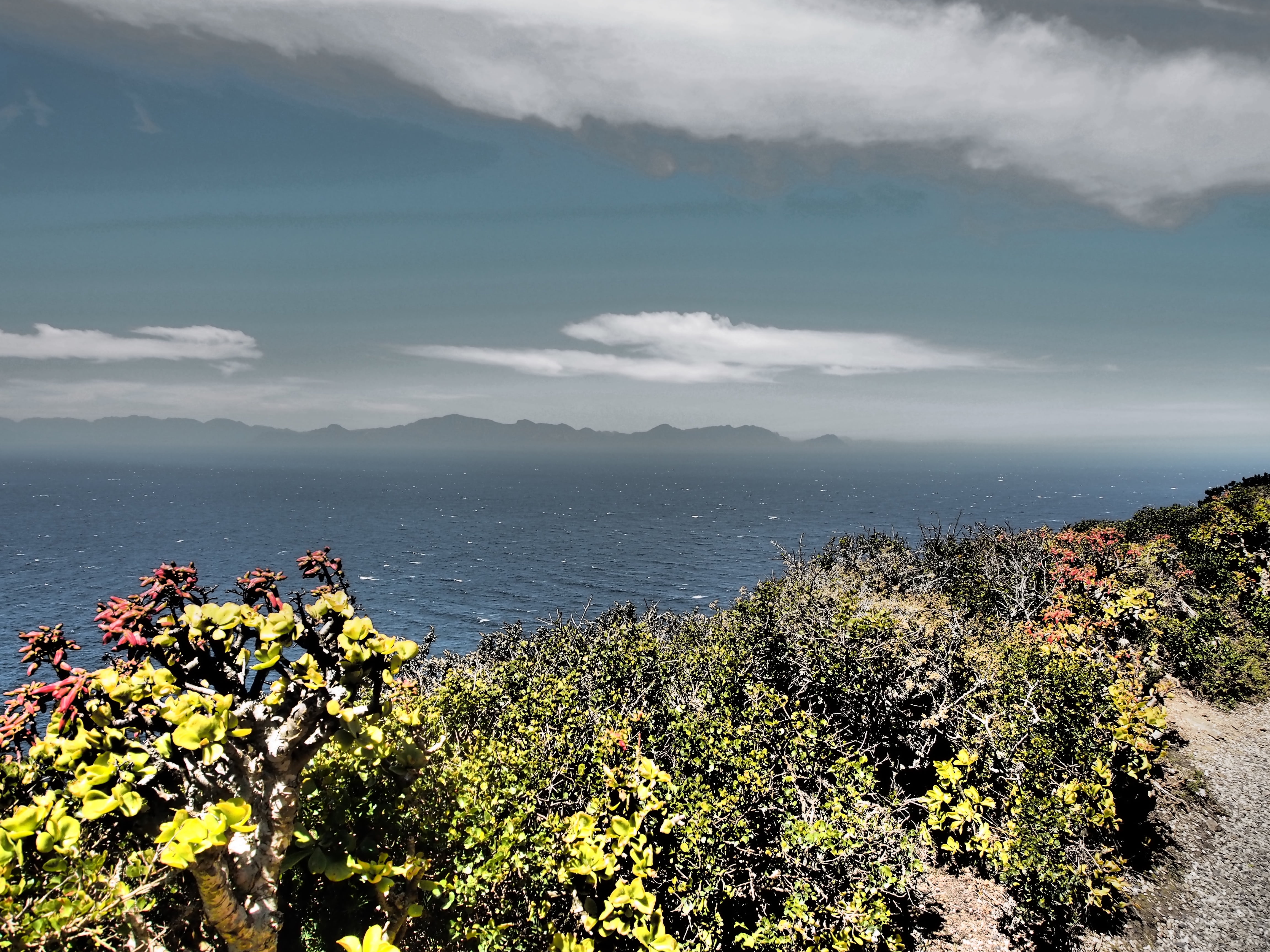 coast, day, scenics - nature, south africa, cape of good hope, water, cape, beauty in nature, tranquility, tree, outdoors, growth, no people, 4K, sea, HD Wallpaper