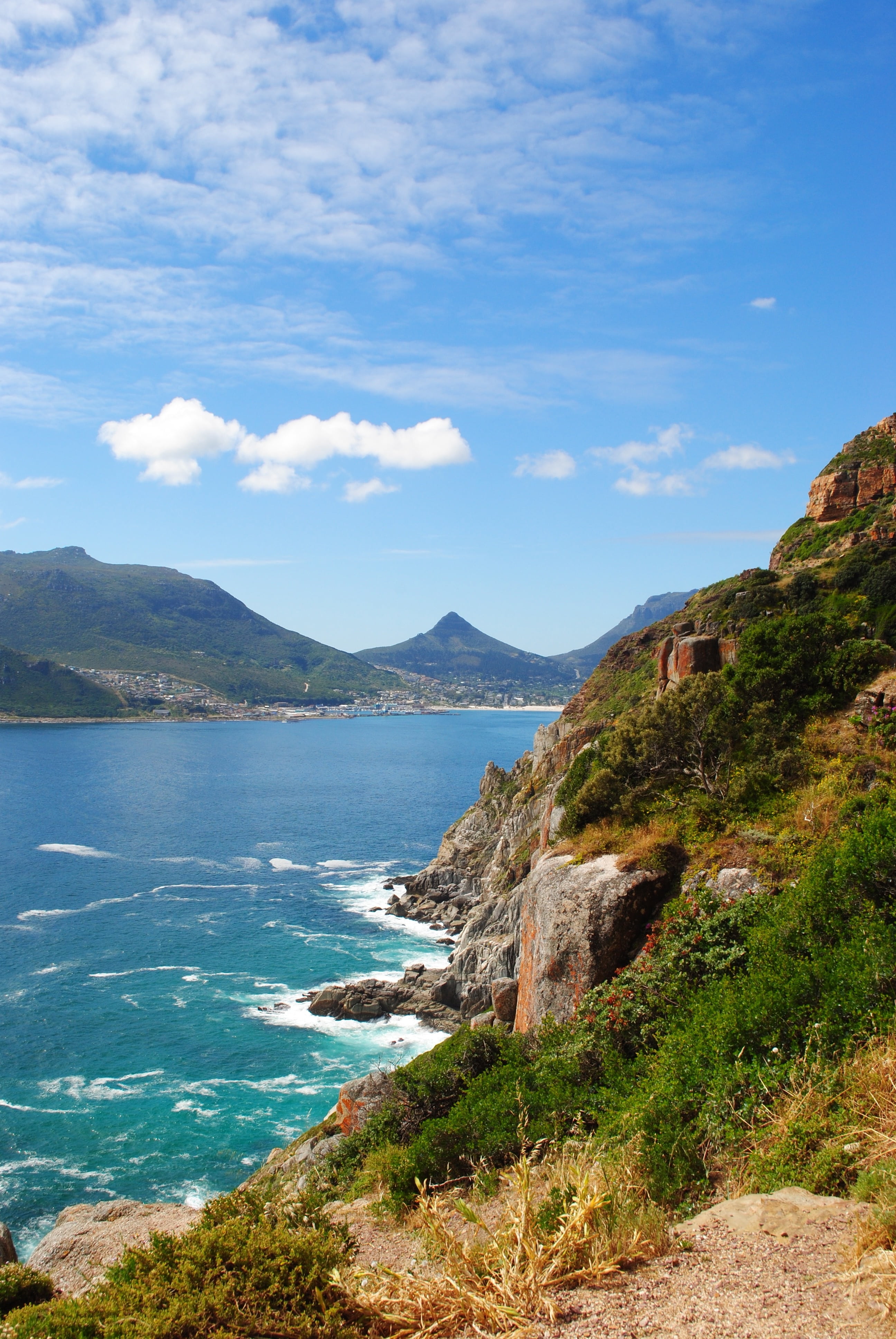 blue, beach, south africa, mountain, plant, tranquil scene, panorama, beauty in nature, scenics - nature, 4K, scenics, landscape, peninsula, sea, cape town, Phone HD Wallpaper